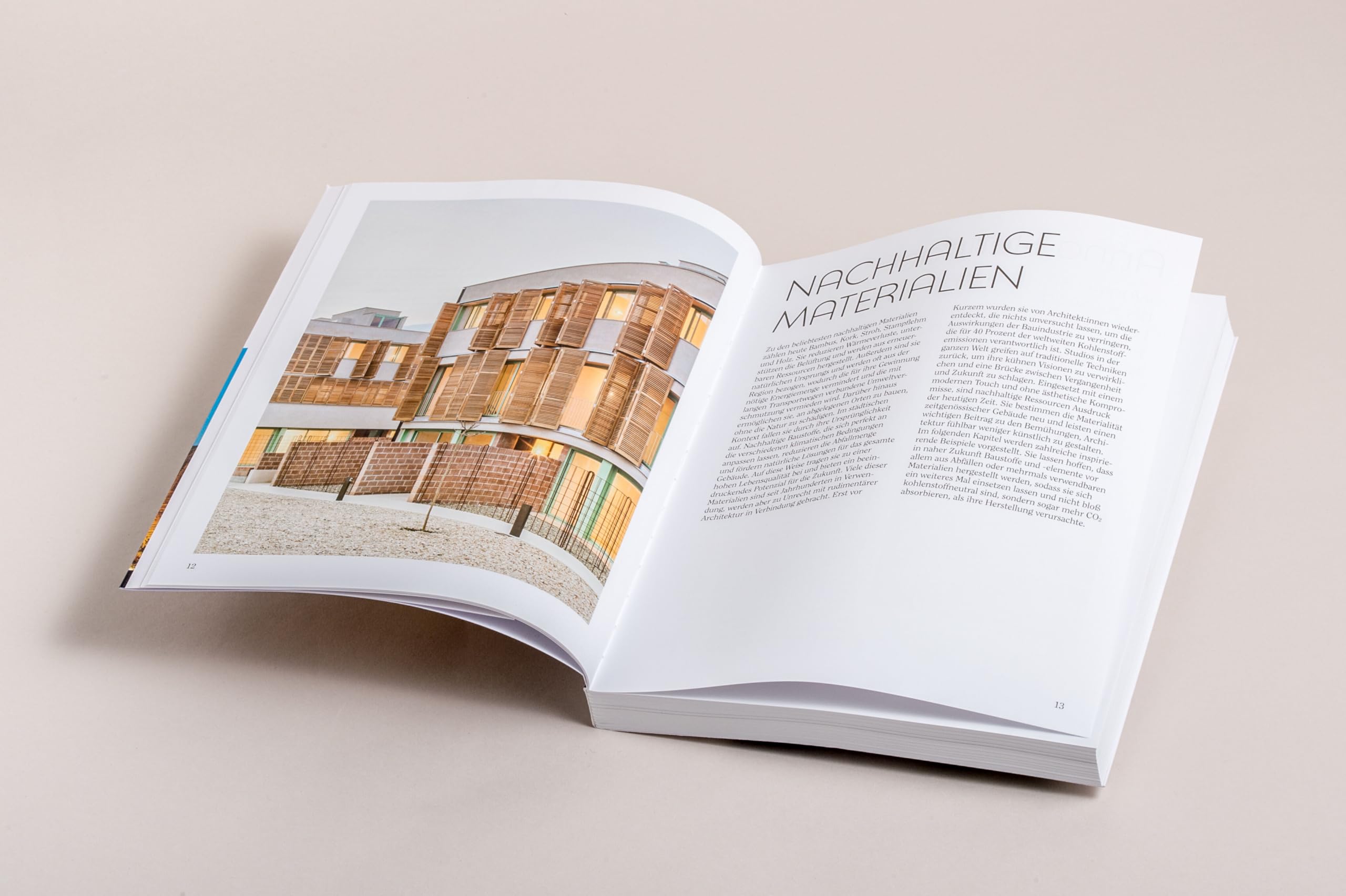 Architektur für eine nachhaltige Welt: Innovative Konzepte für ​klimafreundliches Bauen - 75 wegweisende Architektinnen und Architekten