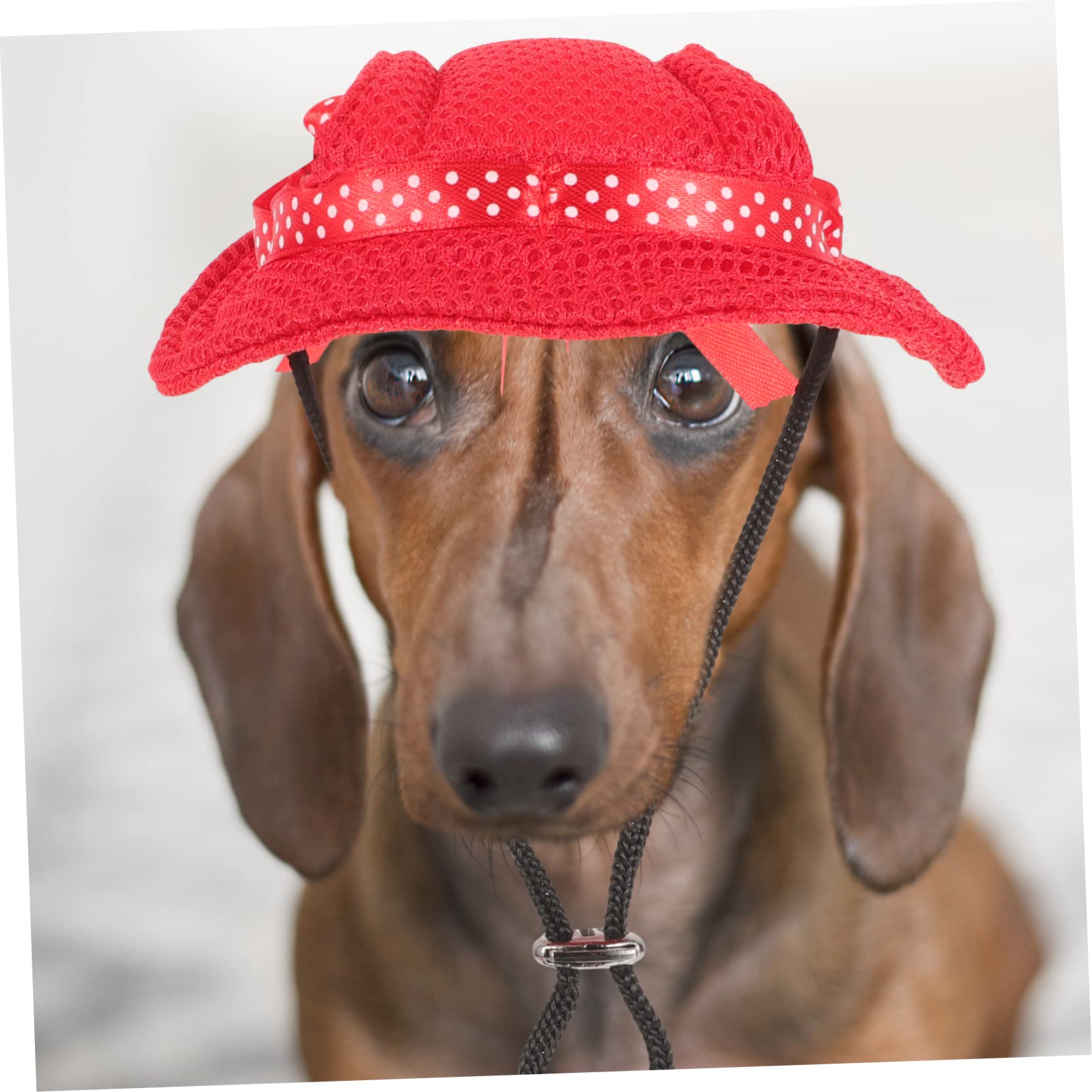 Cappello Per Cani Con Fori Orecchie - Berretto Regolabile In Denim, Protezione Solare Per Cani Media Taglia - Foto 5