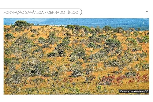 Frutos do Cerrado: 100 espécies atrativas para Homo sapiens