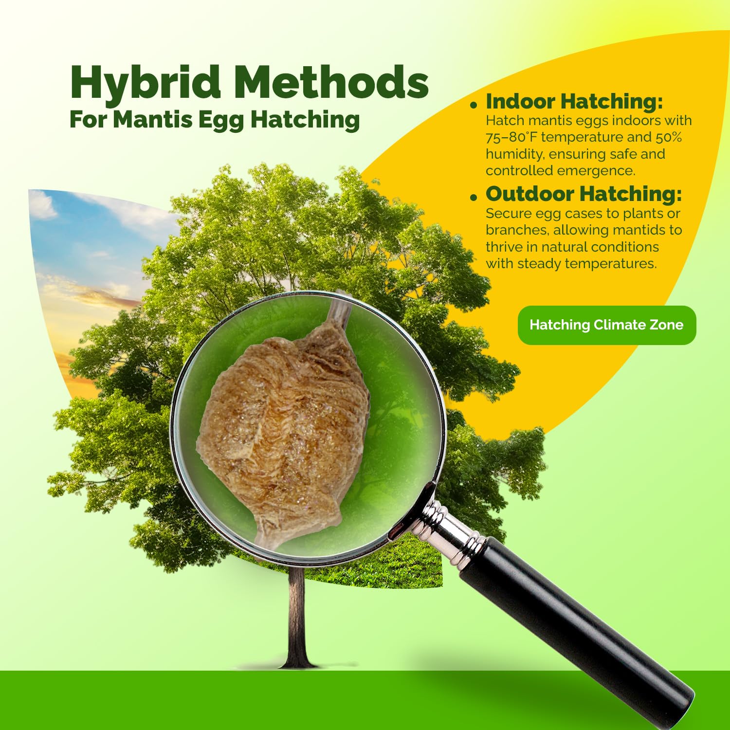 0.25 G Insecticide - 1 Bag (30 lbs.)