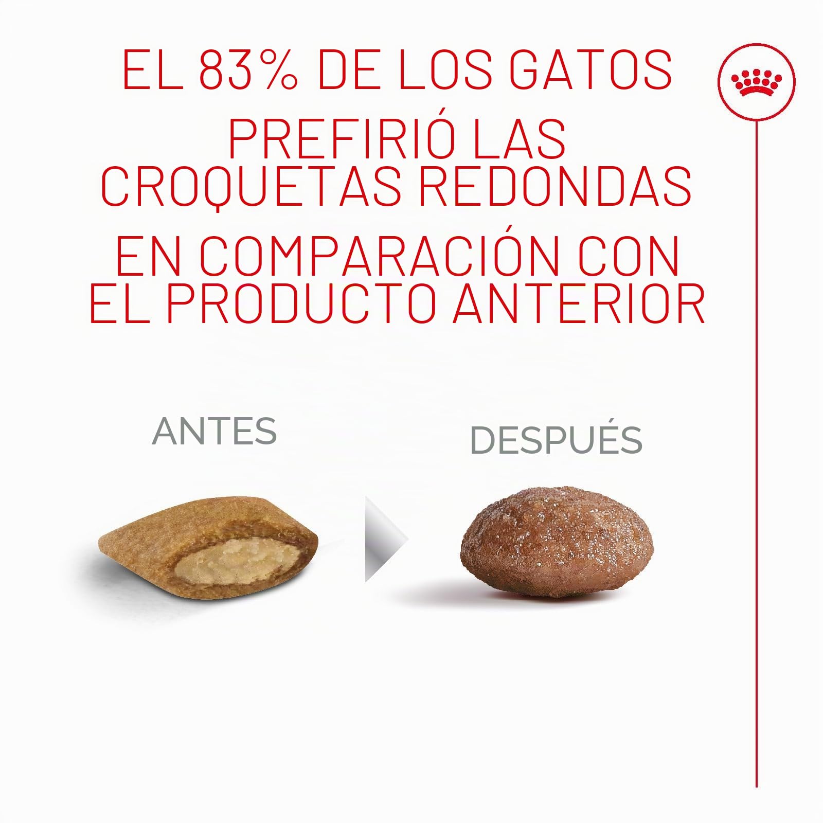 ROYAL CANIN AGEING 15+ | 4 kg | Alimento seco para Gatos Mayores de 15 años | Fórmula con el HealthyAge7™ Complex | Contiene croquetas fáciles de Masticar