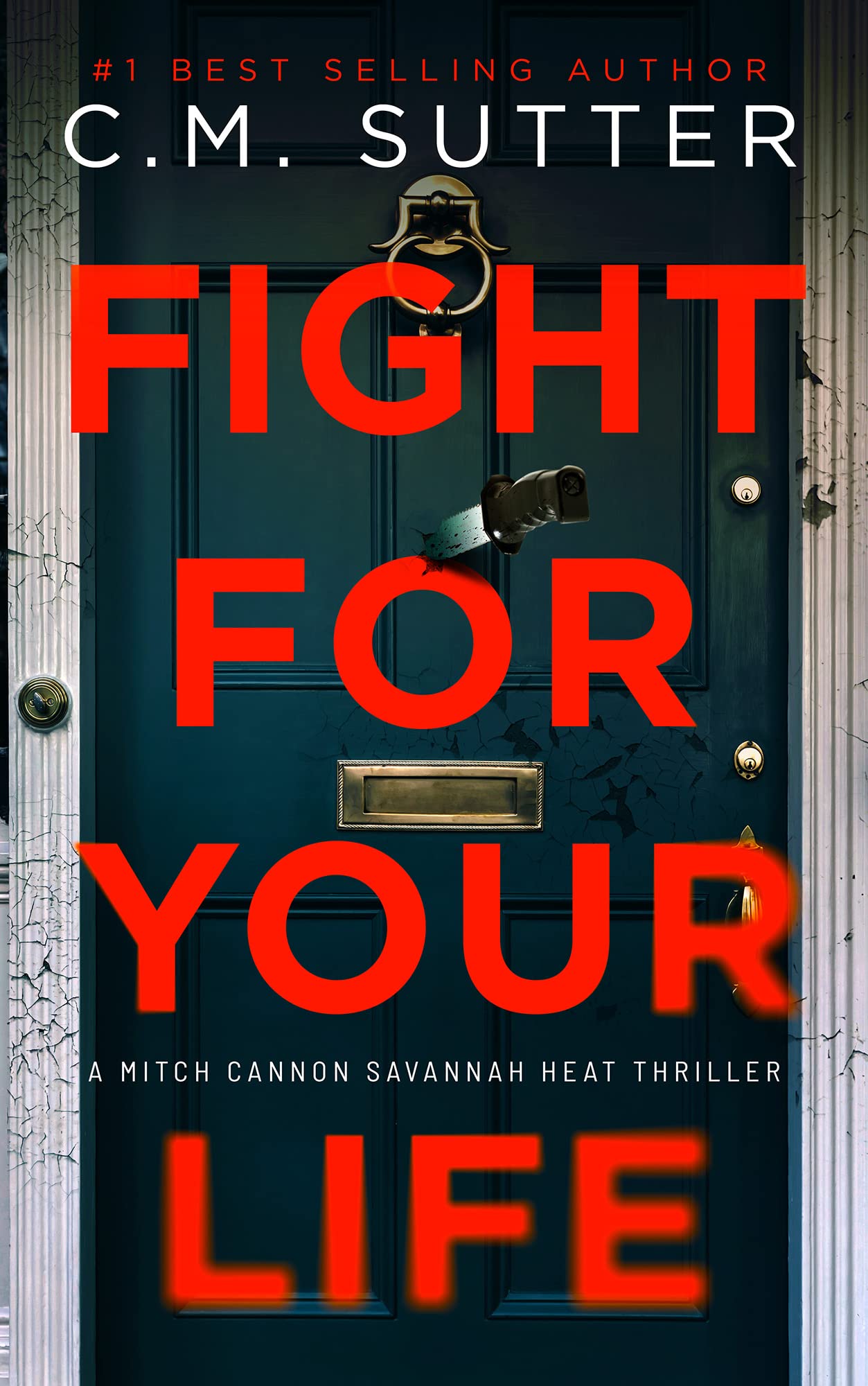 Fight For Your Life: A Spine-Tingling Thriller (Mitch Cannon Savannah Heat Thriller Series Book 2)