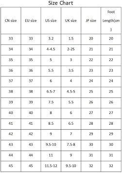 Roller Skates for Women,Shoes with Wheels for Girls,Kick Rollers Shoes Skates Retractable Adult,Skating Shoes for Boys,Heel Skates for Kids,Sports/Outdoor Recreation Parkour Shoes,EU40