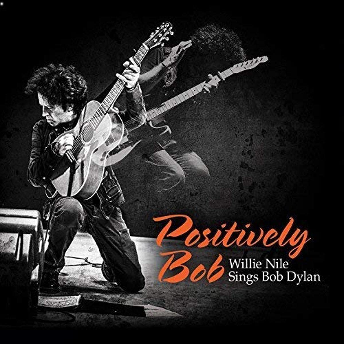 Positively Bob: Willie Nile Si