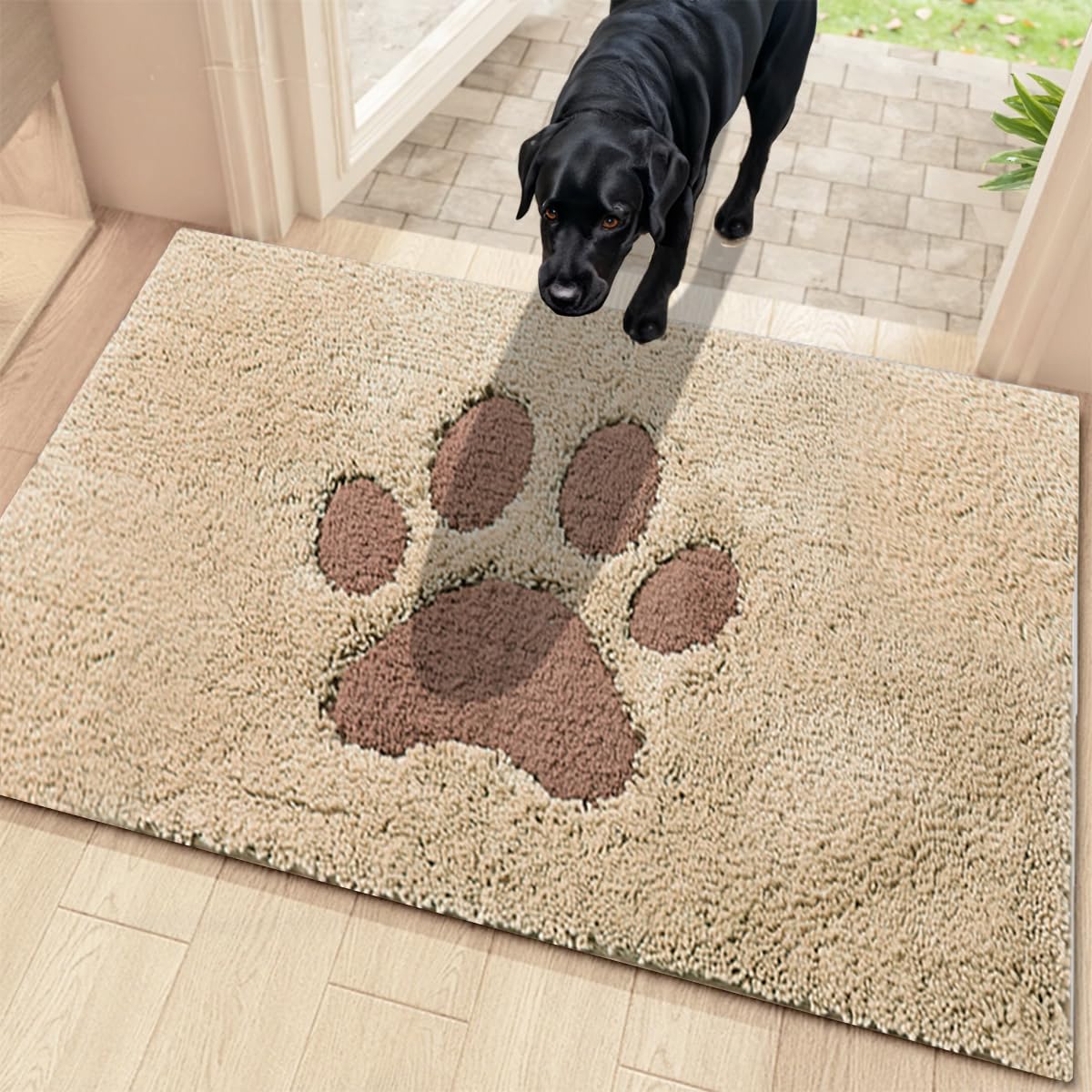 Oiilores Dirt Trapper Door Mat Indoor 60 x 90 cm, Non-Slip Washable Rug