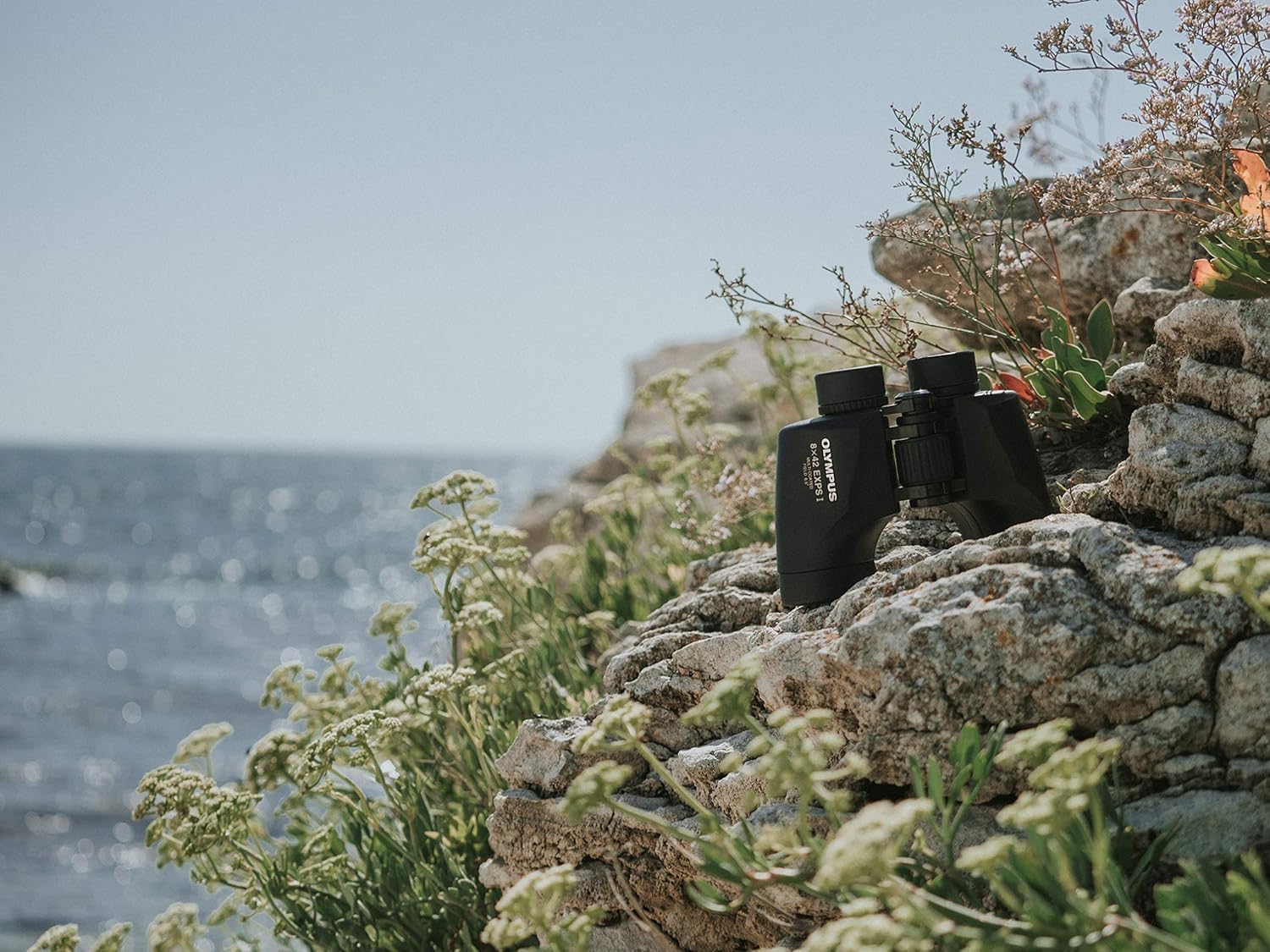 Olympus 8x42 EXPS I Prismáticos - Binoculares Profesionales con Prismas | Lentes con protección UV y óptica de alta resolución. Diseño ergonómico para observación de aves, naturaleza y senderismo.