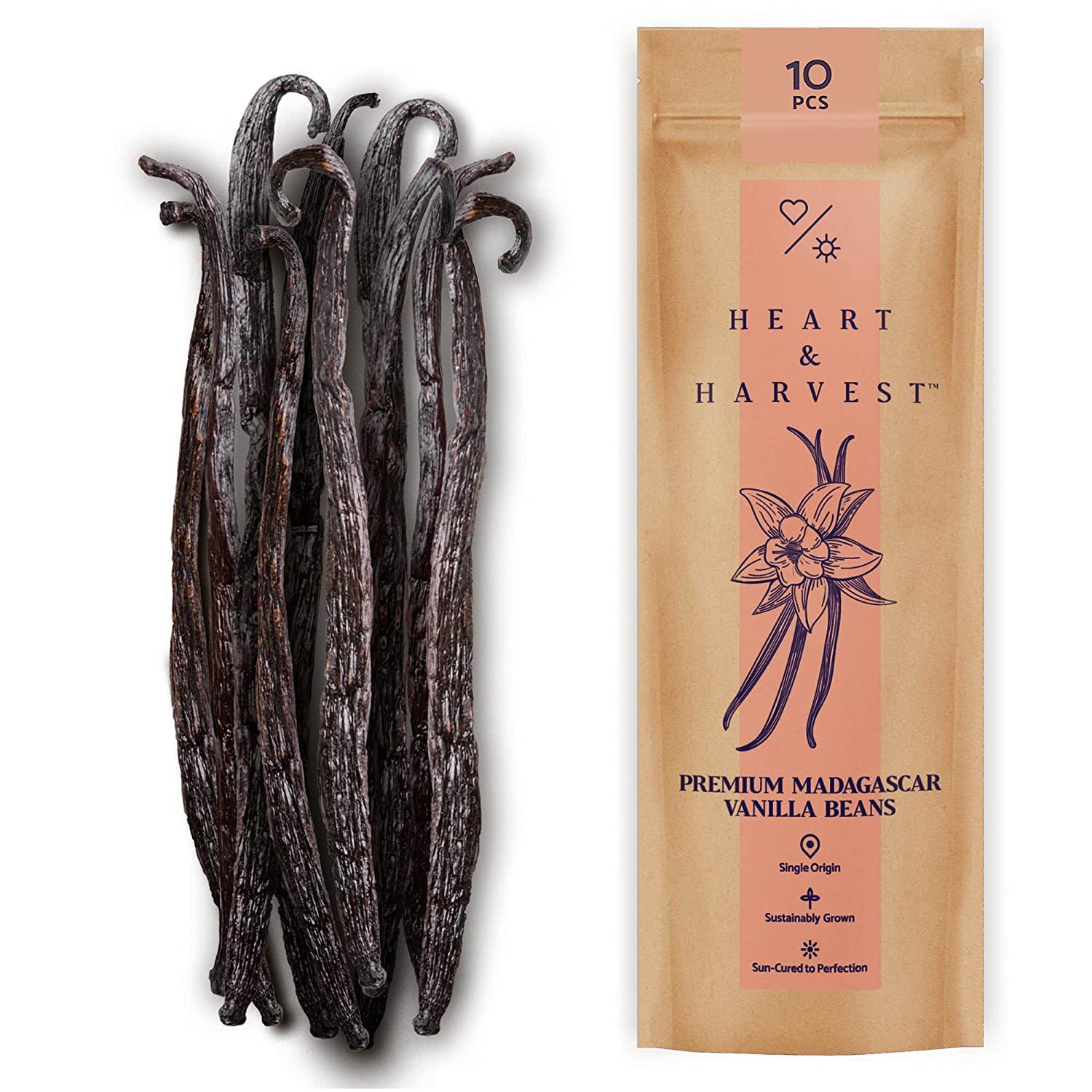 Buy Heart & Harvest Premium Madacar Vanilla Beans Extract Grade B, 4