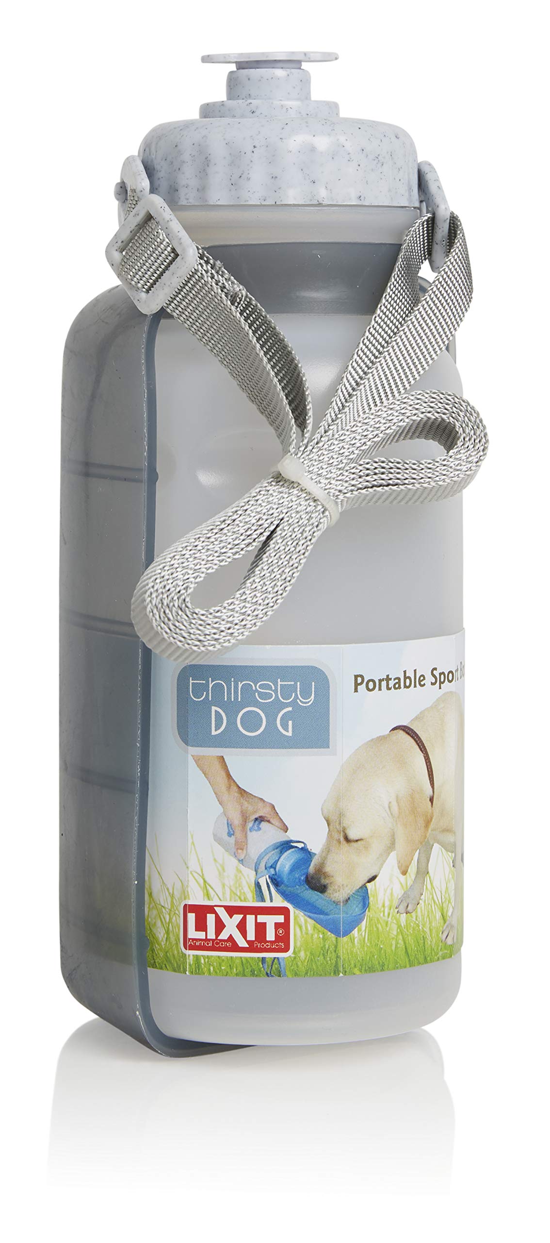 Why Is My Dog So Thirsty All The Time