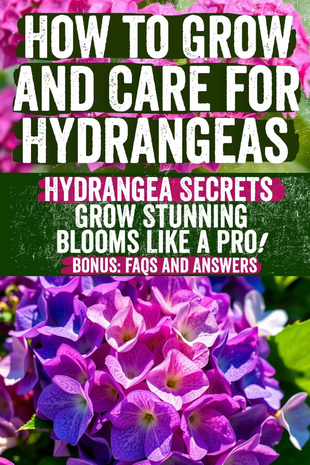 How to Grow and Care for Hydrangeas: A Comprehensive Guide to Hydrangea Varieties, Planting, Pruning, and Color Changes - Perfect for Gardeners of All Skill Levels
