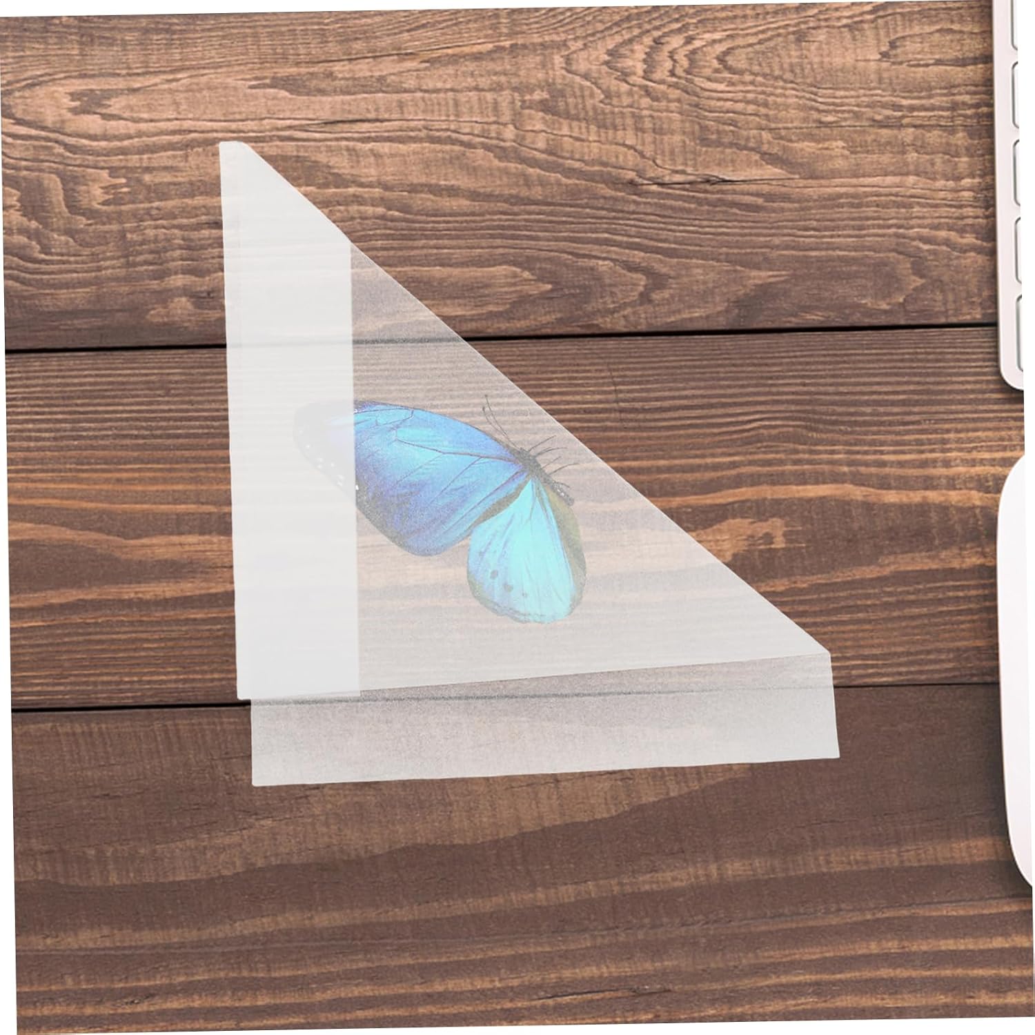 Toyvian 20pcs Butterfly Specimen Collection Triangle Paper Bags for Temporary Storage Envelopes for Educational Science Use for Classroom Teaching and Specimen Preservation
