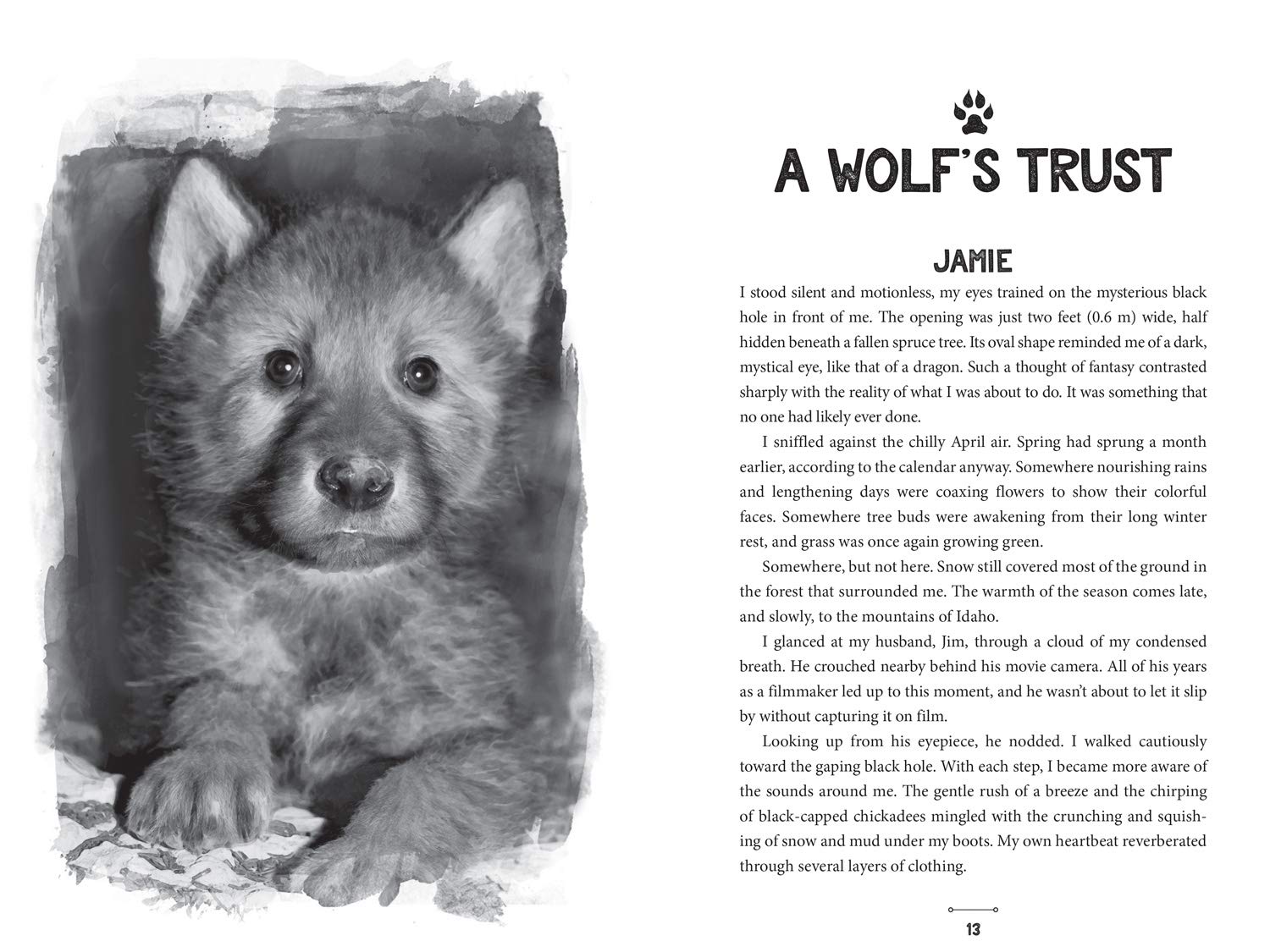 Running with Wolves: Our Story of Life with the Sawtooth Pack