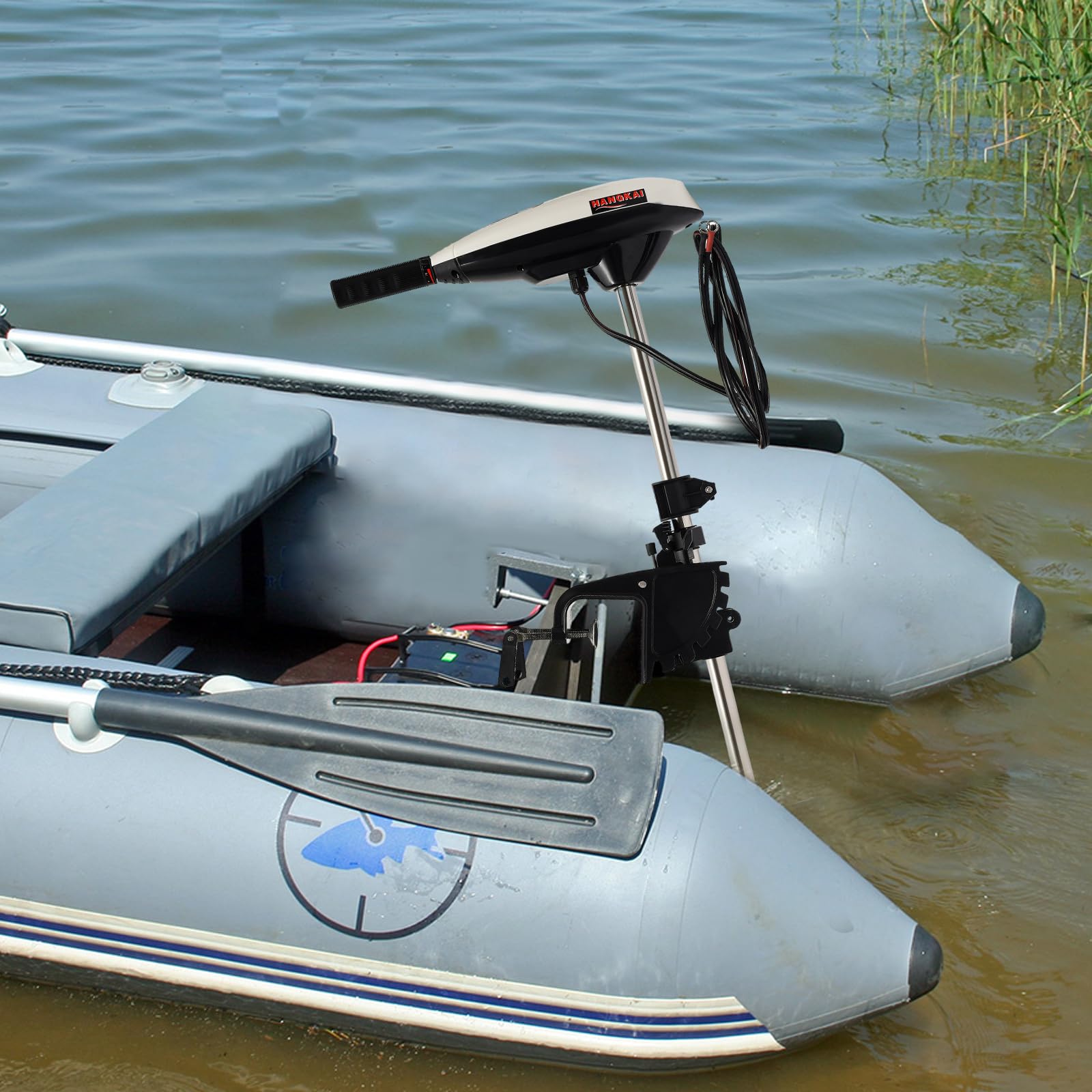 Motor fueraborda eléctrico 660 W, motor fueraborda con escobillas y motor de cobre puro | 3 hojas 1420 rpm F5-R2 motor de arranque eléctrico para motores fueraborda para pesca, acuicultura, turismo al aire libre