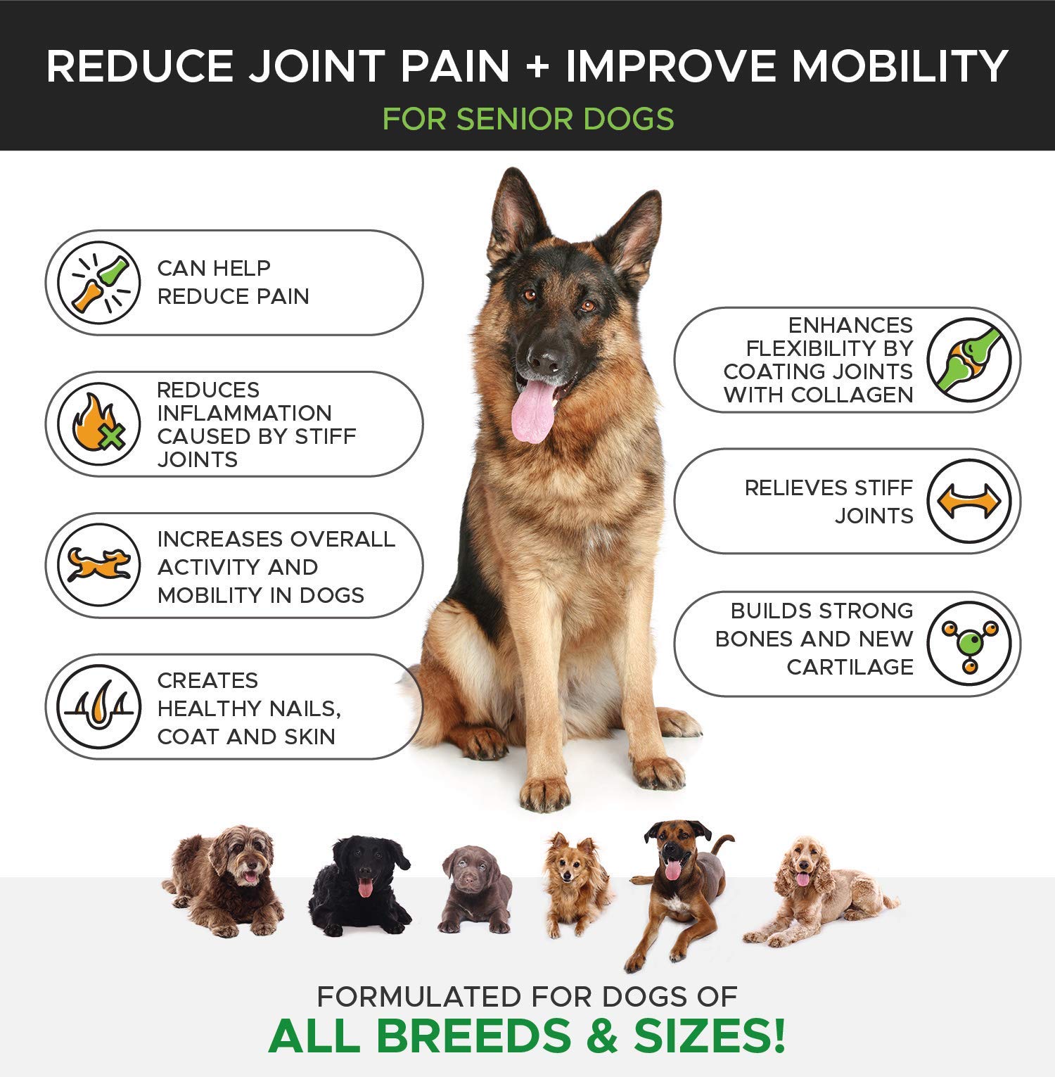 pethonesty hip and joint