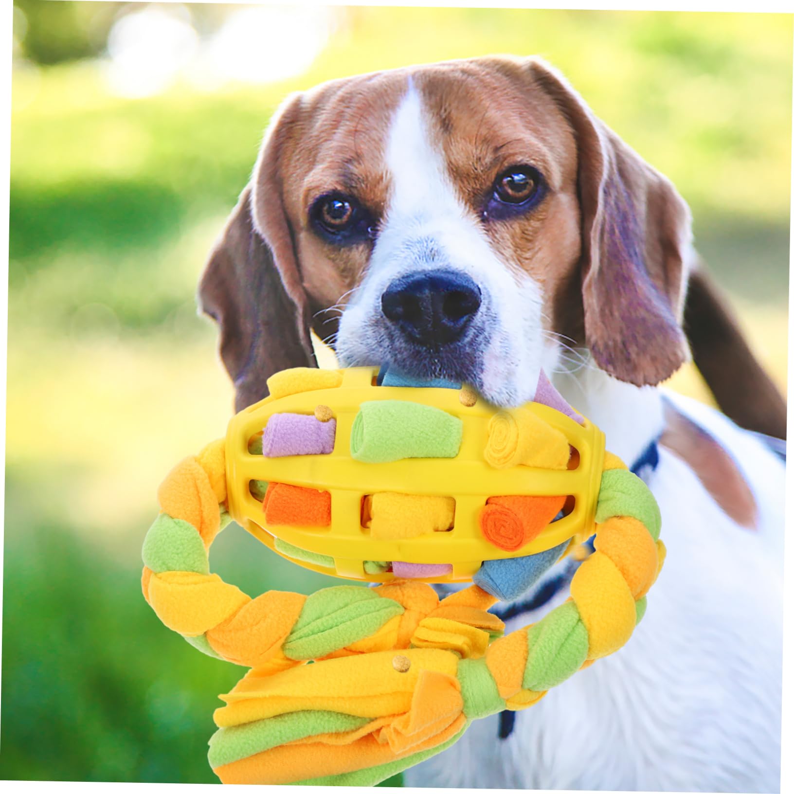 Kisangel 3stücke Hundeschnüffelball Für Interaktive Beschäftigung Robustes Futterspielzeug Für Kleine Mittelgroße Und Große Hunde Geistigen Und Verhaltensverbesserung
