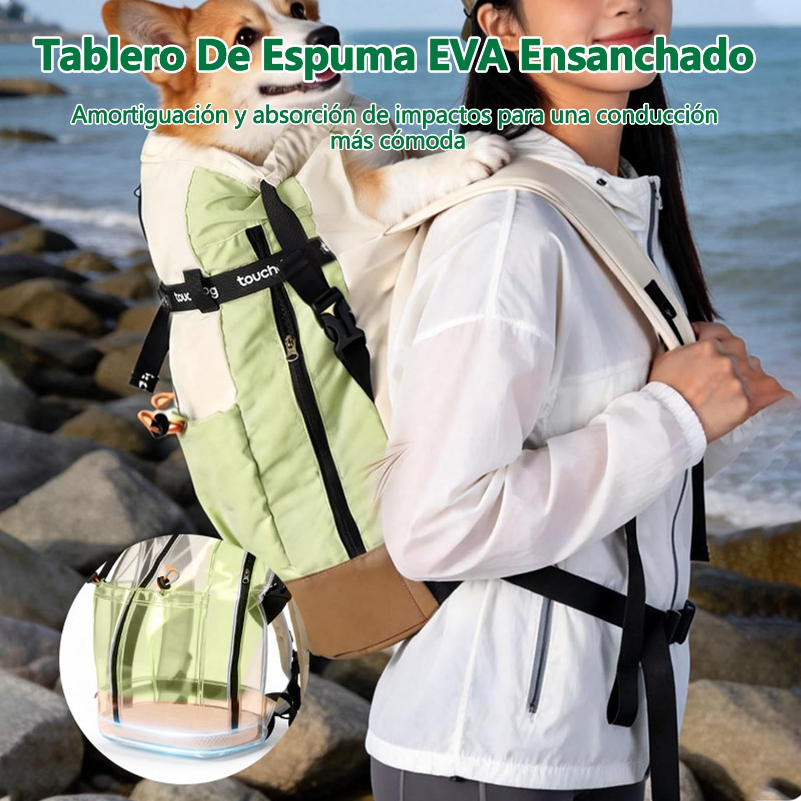 Galatée Bolsa De Viaje para Mascotas, Mochila Impermeable y Transpirable para Mascotas, Bolsa Portátil con Almohadilla Inferior Amortiguadora y Diseño a Prueba De Fugas（Morado）