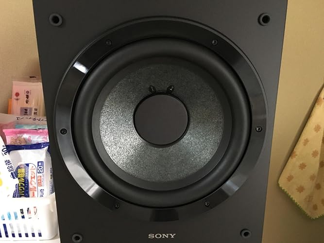 Amazon.co.jp: ソニー サブウーファー SA-CS9 : 家電＆カメラ