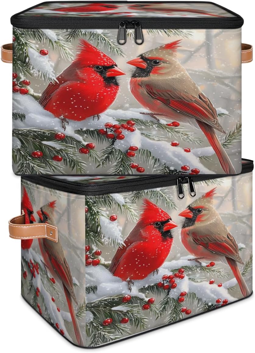 Storage Bin Set of 2 Snow Branch Birds Storage Basket with Zipper Lid & Handle Foldable Closet Shelf 2 Pack Cloth Organizer Basket Cube Bins for Bedroom, Nursery