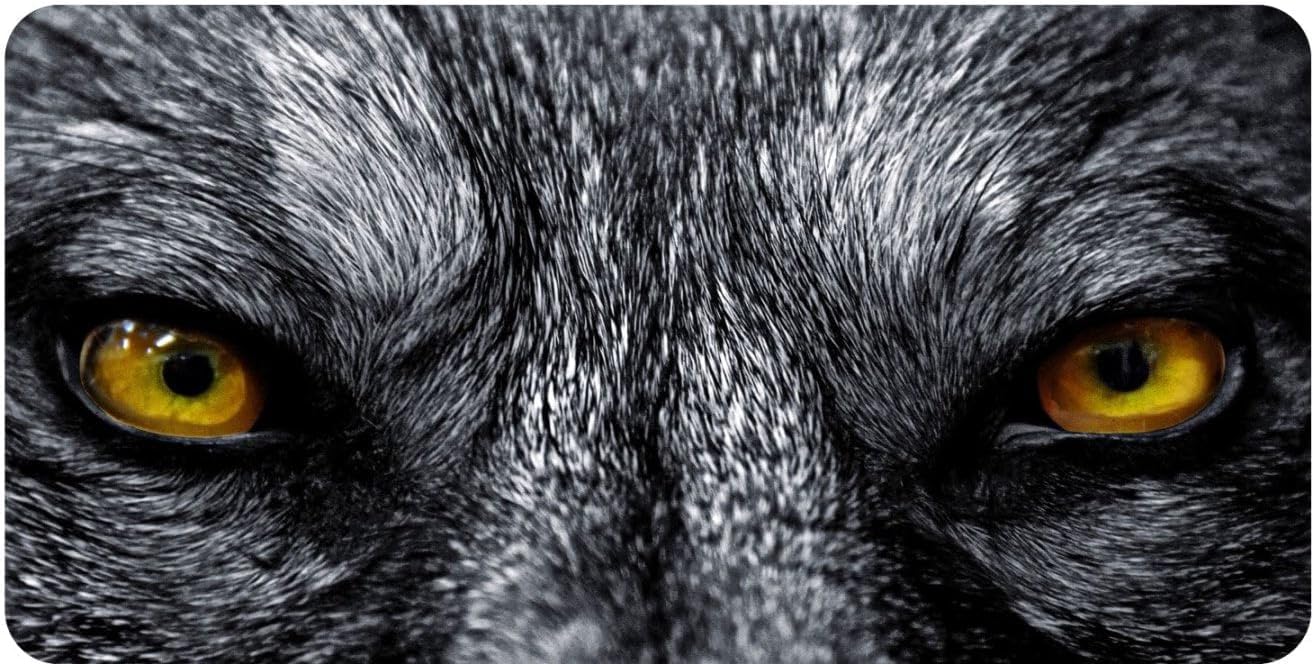 Wolf Orange Eyes Photo License Plate