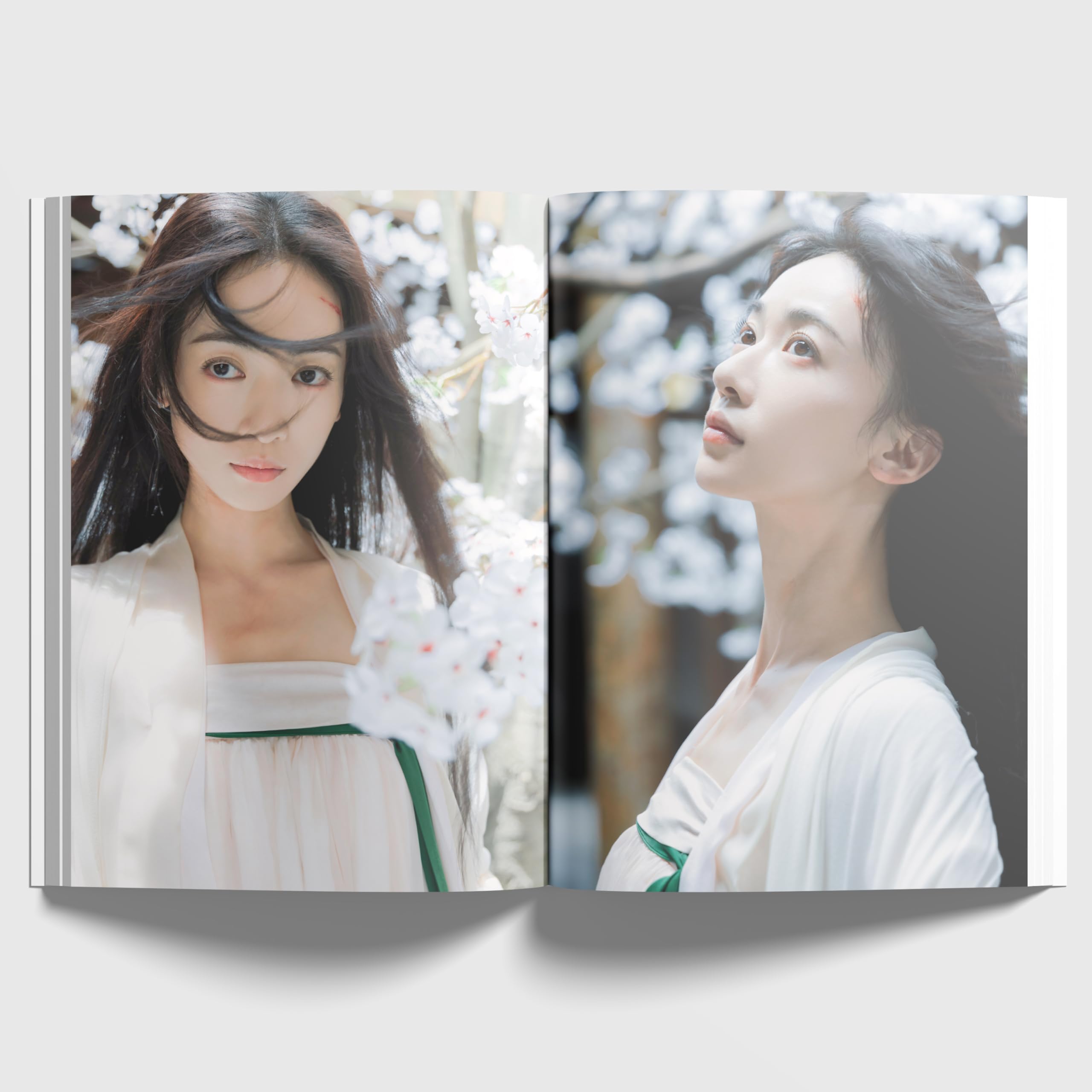 Amazon.co.jp: Opera Troupe 墨雨雲間 呉謹言 ウージンイエン 写真集