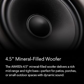 Definitive Technology Dymension AW-450 Outdoor Speaker (Black, Pair)