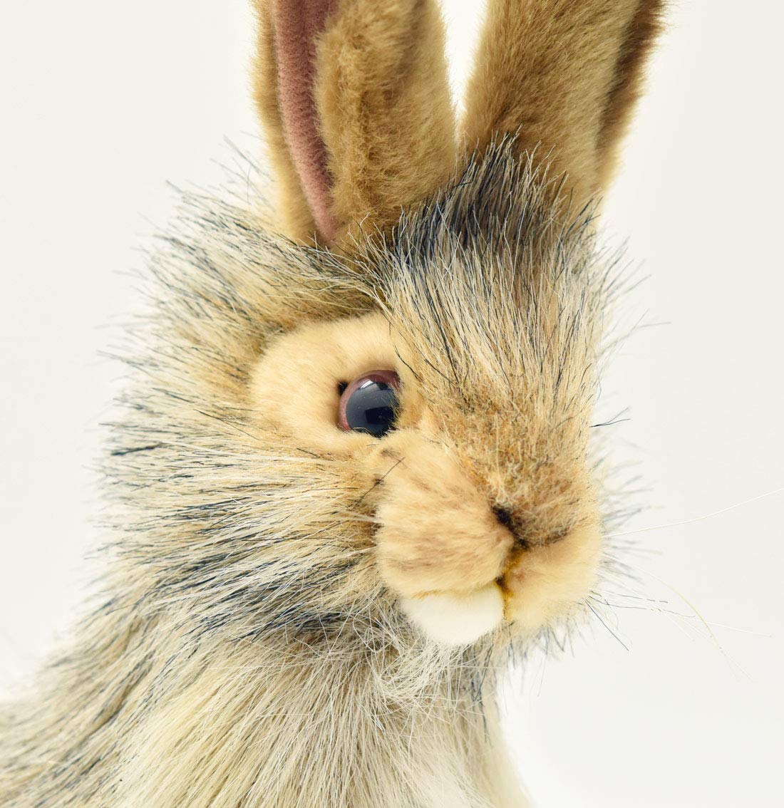 Hansa Plush - 9" Blacktail Jack Rabbit - Image 4