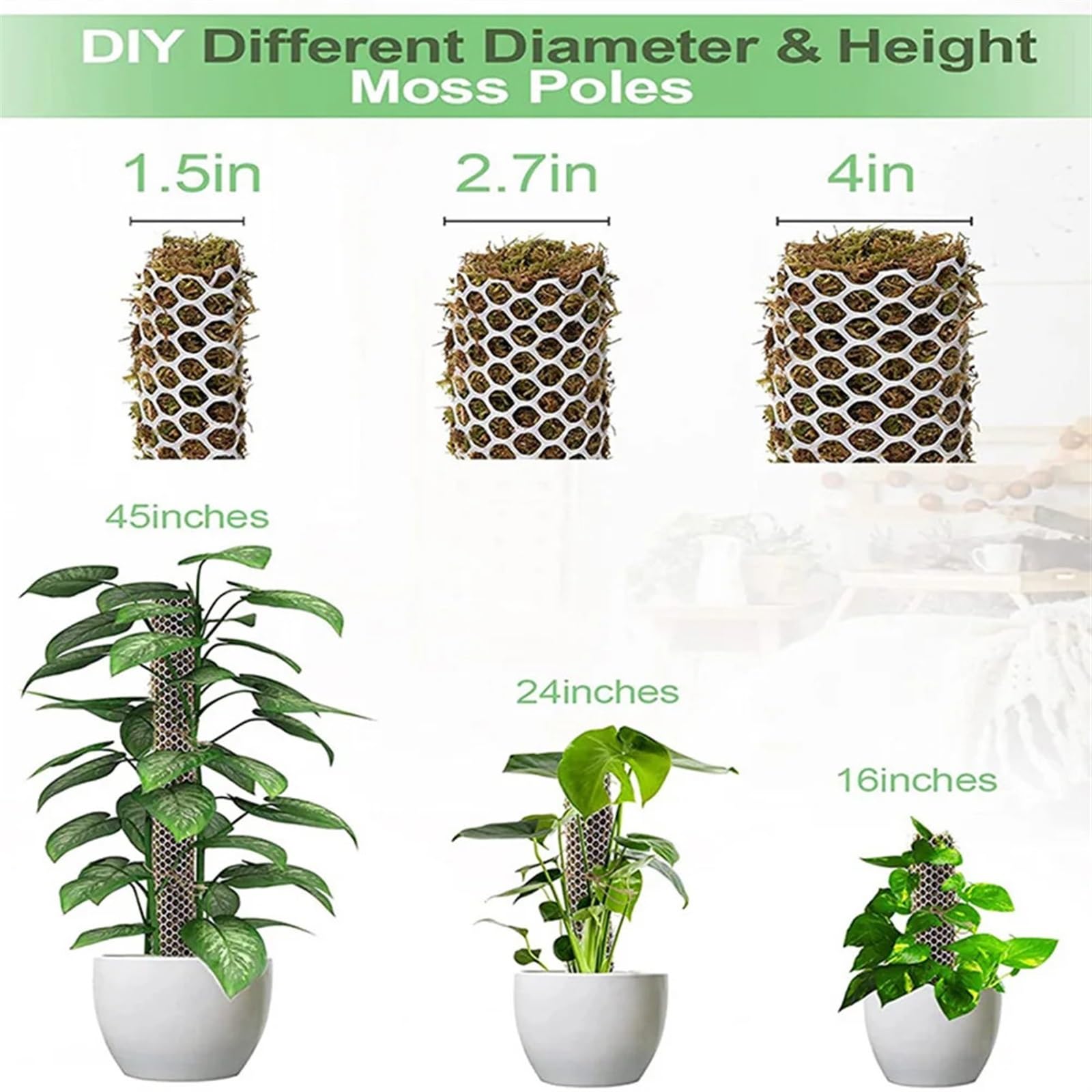 Kit De Bâtons De Mousse, Poteau De Mousse en Maille, Piquets De Mousse, Plantes Grimpantes, Supports Monstera, Bricolage