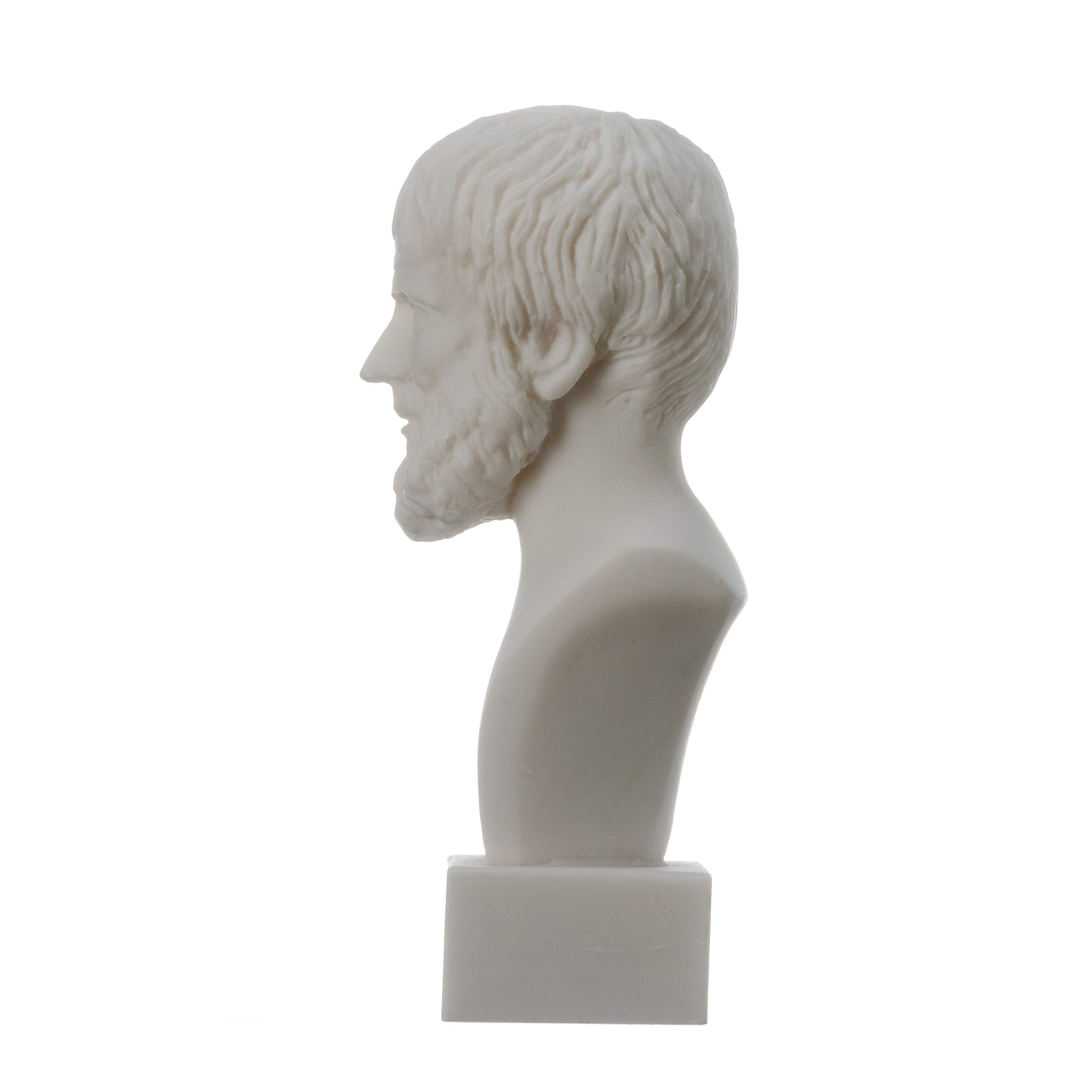 BeautifulGreekStatues Aristóteles Filósofo Griego en la Antigua Grecia Alabastro Busto 5.5 pulgadas