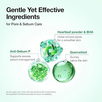 Anua Heartleaf Quercetinol Pore Deep Cleansing Foam, Face wash for Pore Refining Cleanser, Hydrating Daily Facial Cleanser For Double Cleansing, Gentle Foaming with BHA, Korean Skincare, 5.07 fl.oz.
