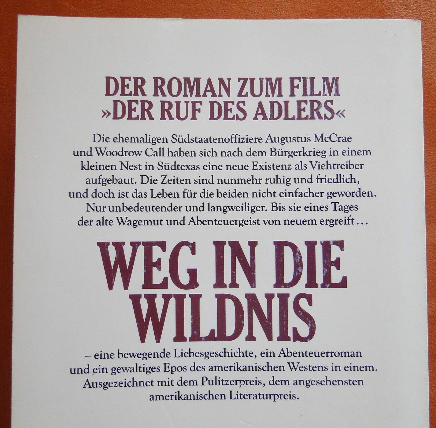 Weg in die Wildnis. Roman
