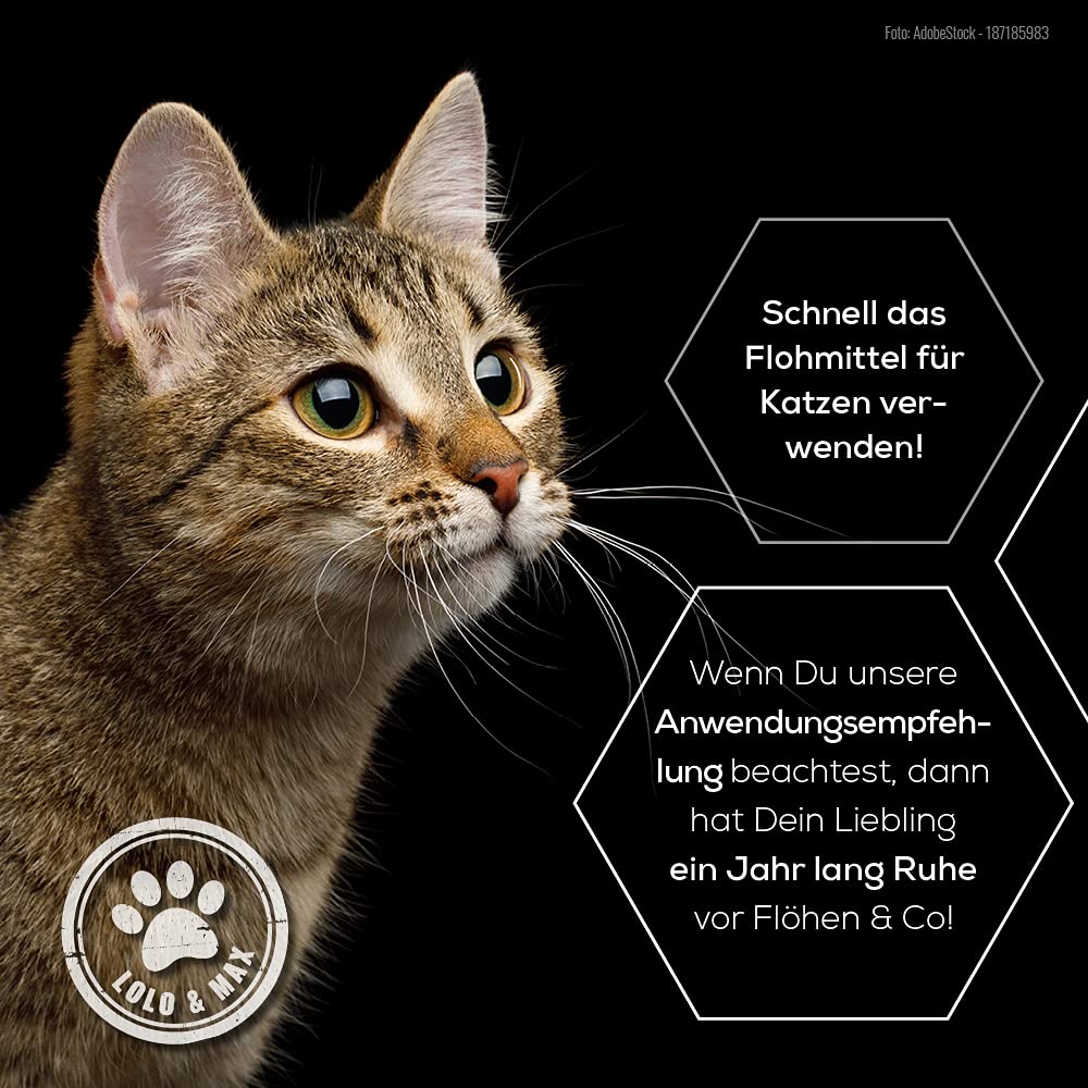 Lolo & Max - Floh- und Zeckenmittel für Katzen 100% Natürlicher Spot On - Bis zu 8 Monate Abwehr & Bekämpfung von Flöhen & Parasiten (Zecken,Milben,Läuse,Haarlinge,Wanzen) - Mittel gegen Flöhe - 40ml
