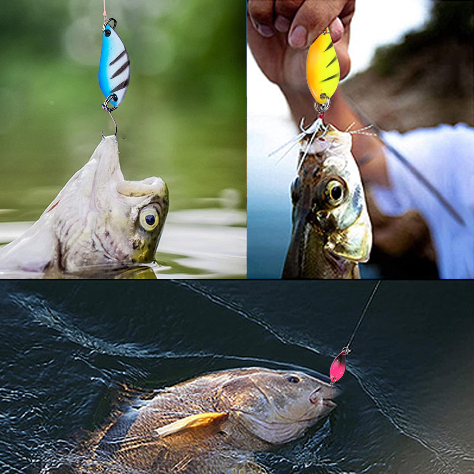 12 Pezzi Esche Artificiali Spinning Trota, 2.5g Esche da Pesca con Gancio, Esca da Pesca Spinning, Cucchiaini Pesca per Trota, Persico Spoon Kit con Scatola, Trout Spoon Kit per Acqua Dolce