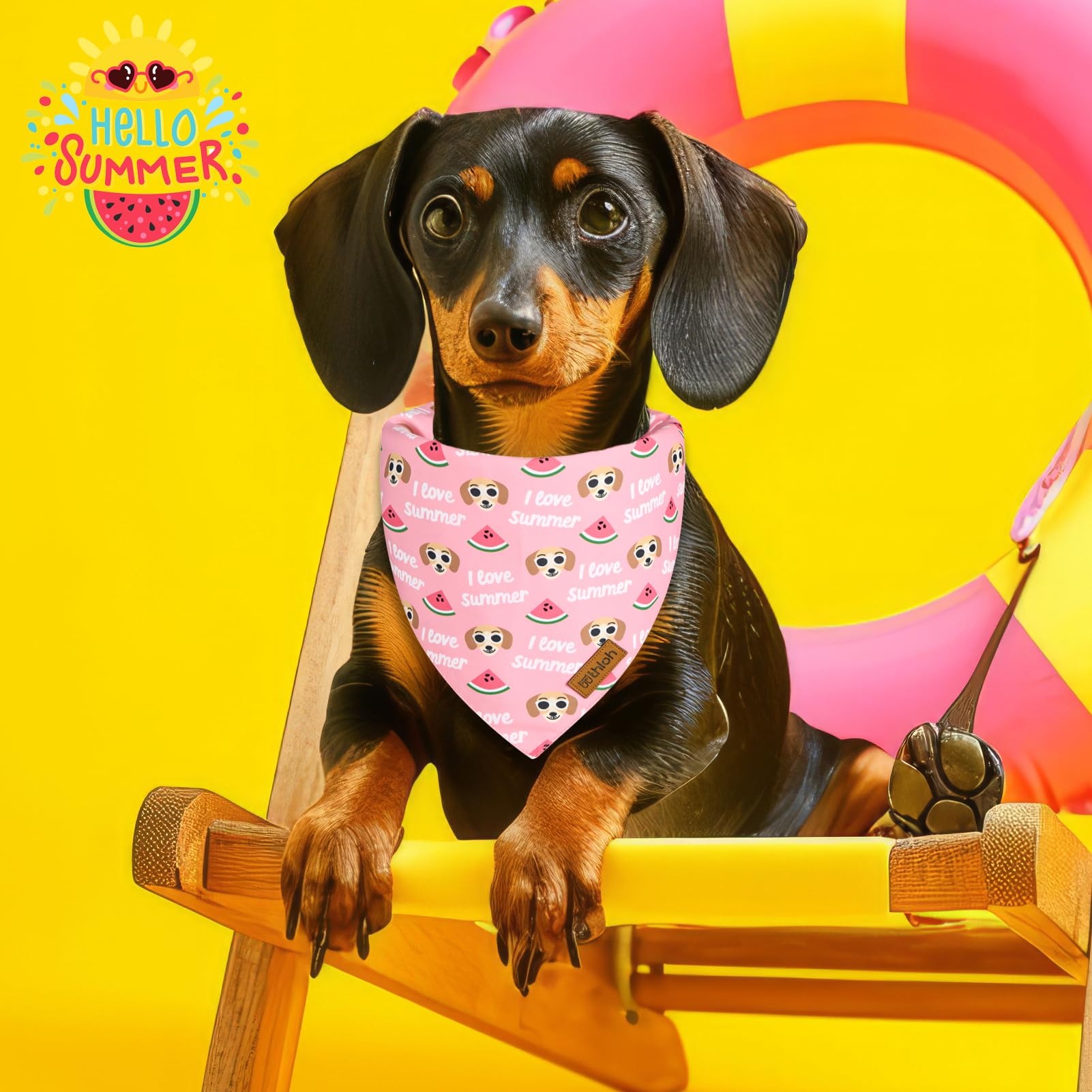 Sommer-Hundehalstuch 6er-Pack Mit Obstmotiven | Für Kleine & Mittelgroße Hunde | Aus Weichem Polyester, Waschbar & Bügelbar