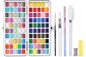 Windsor & Newton Professional Watercolour Paint Set with 100 Colours