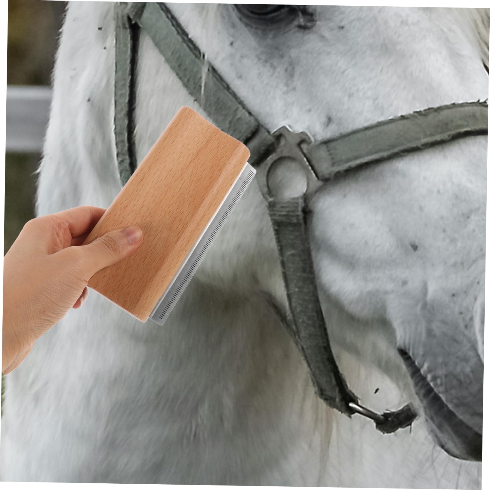 Kisangel 5 Uds Peine Para Eliminar El Pelo De Mascotas Cepillo Para Caballos Cepillo Para El Cuidado De Gatos Cepillo Para El Cuidado De Perros Cepillo Para Derramar Perros Cepillo