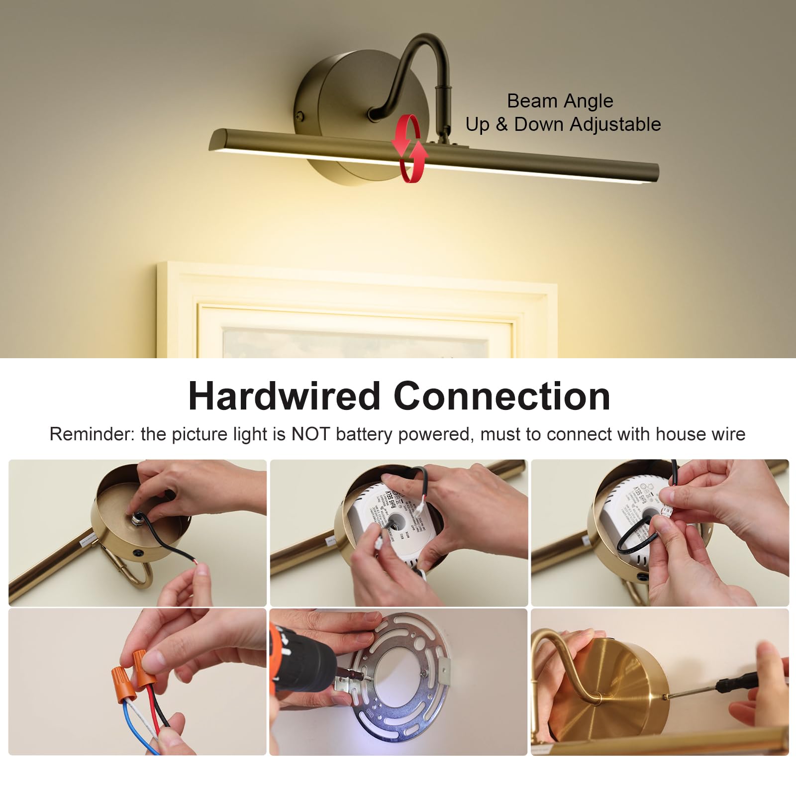 Denlead Hardwired Picture Light 12
