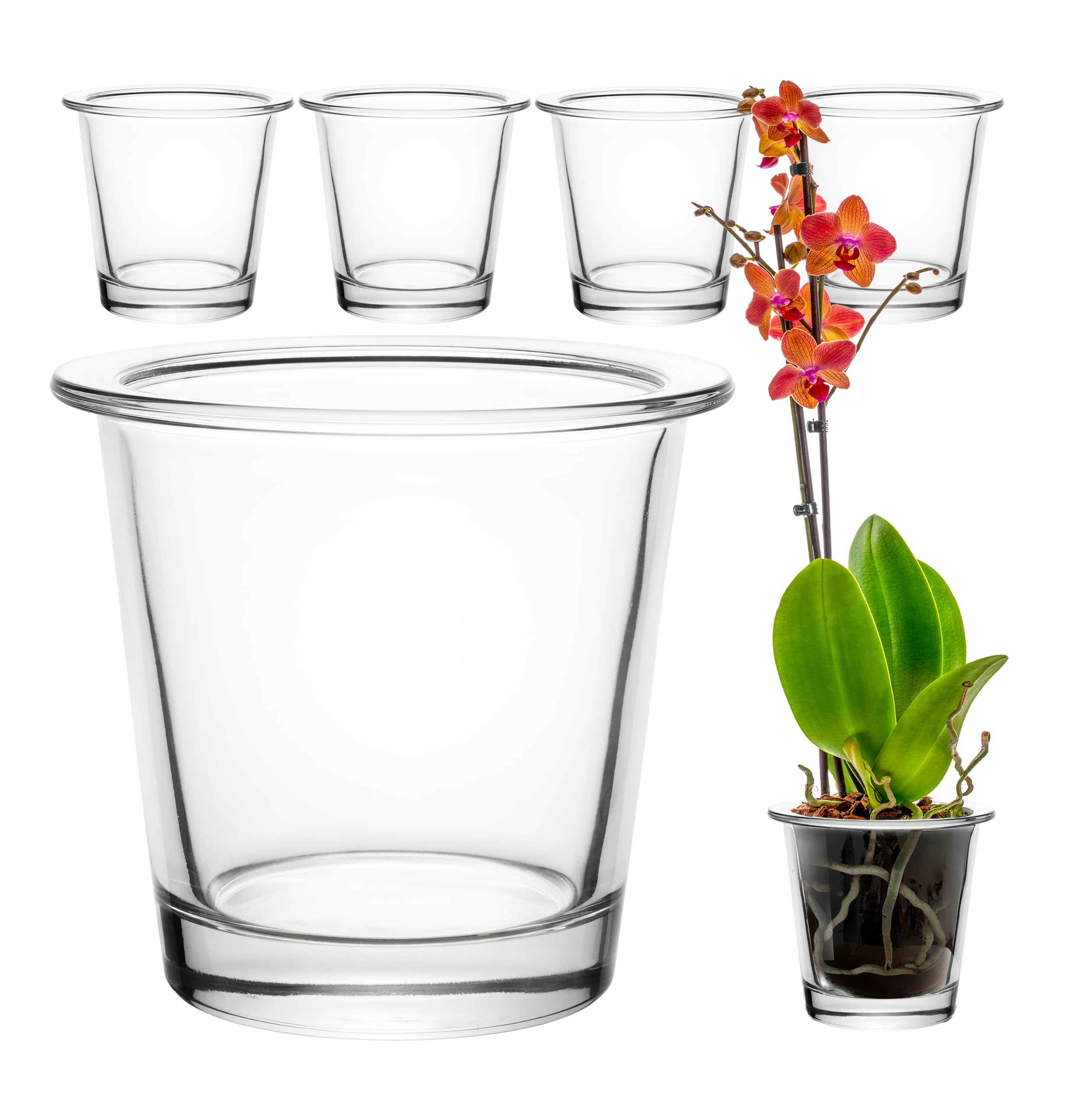 GIESSLE® 6 Stück Orchideentopf [ aus Glas ] Blumentopf Orchideenvase Orchideenglas Übertopf für Orchideen transparent Garten