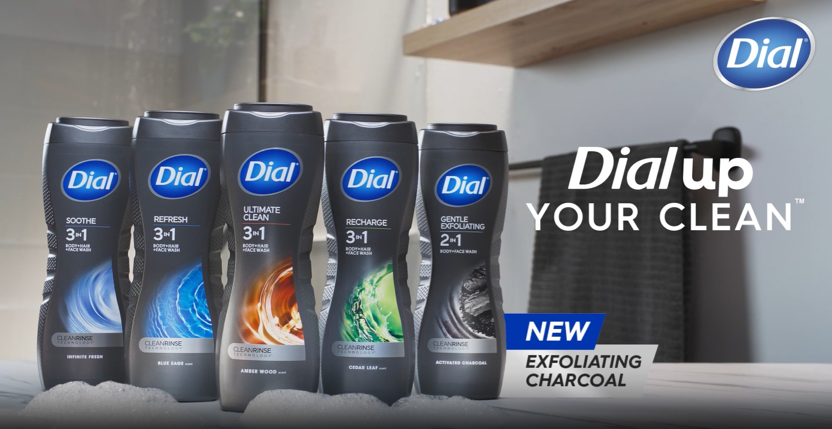 Amazon.com : Dial Men 3 in 1 Body, Hair and Face Wash, Recharge