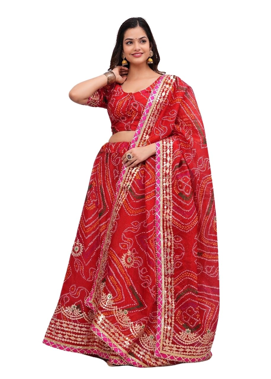 Traditional Rajasthani Kota Doria Lehenga, Red with Gold Aari Work, Pink Border-image-19