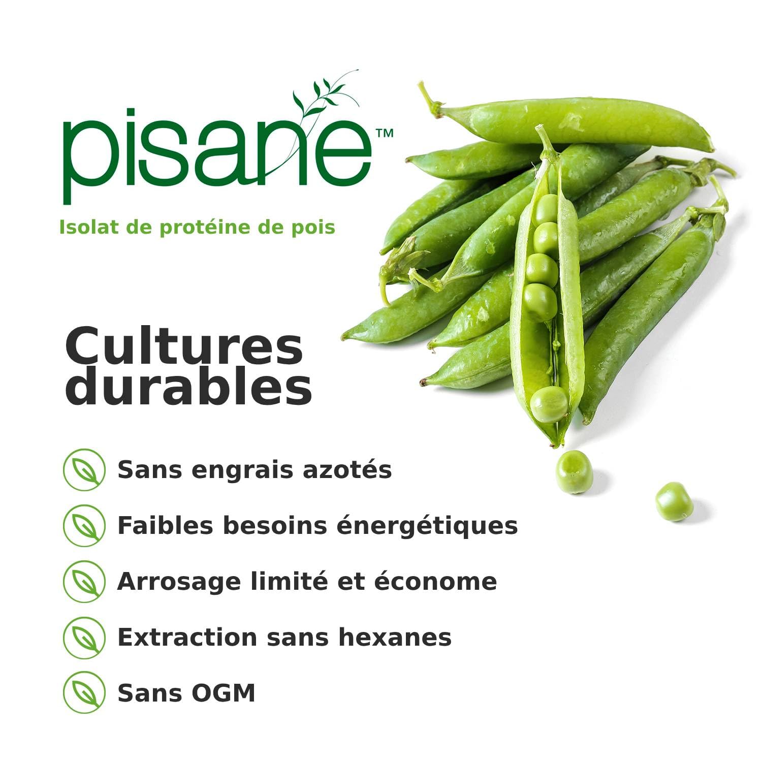 Weider Vegan Protein (750g) Goût Vanille. Protéines 100% Vegetal 23g/dose, Pois (Isolat Pisane) & Riz. Avec Vitamine B12 & Stevia. Sans Gluten, Sans Sucre. Emballage 50% Recyclé, 100% Recyclable