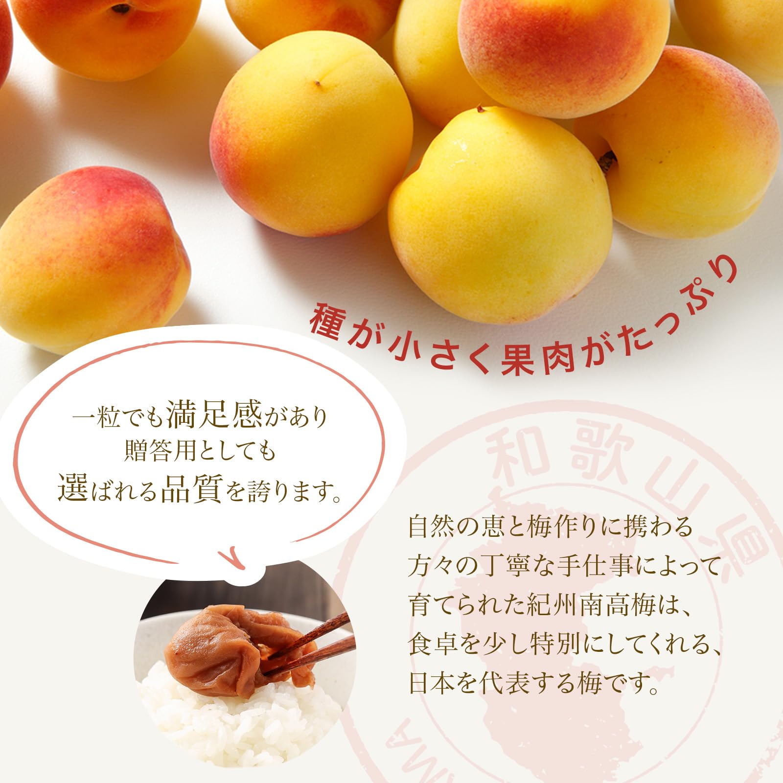 Amazon | 紀州梅本舗 梅干し 訳あり はちみつ梅 つぶれ梅 減塩 紀州南