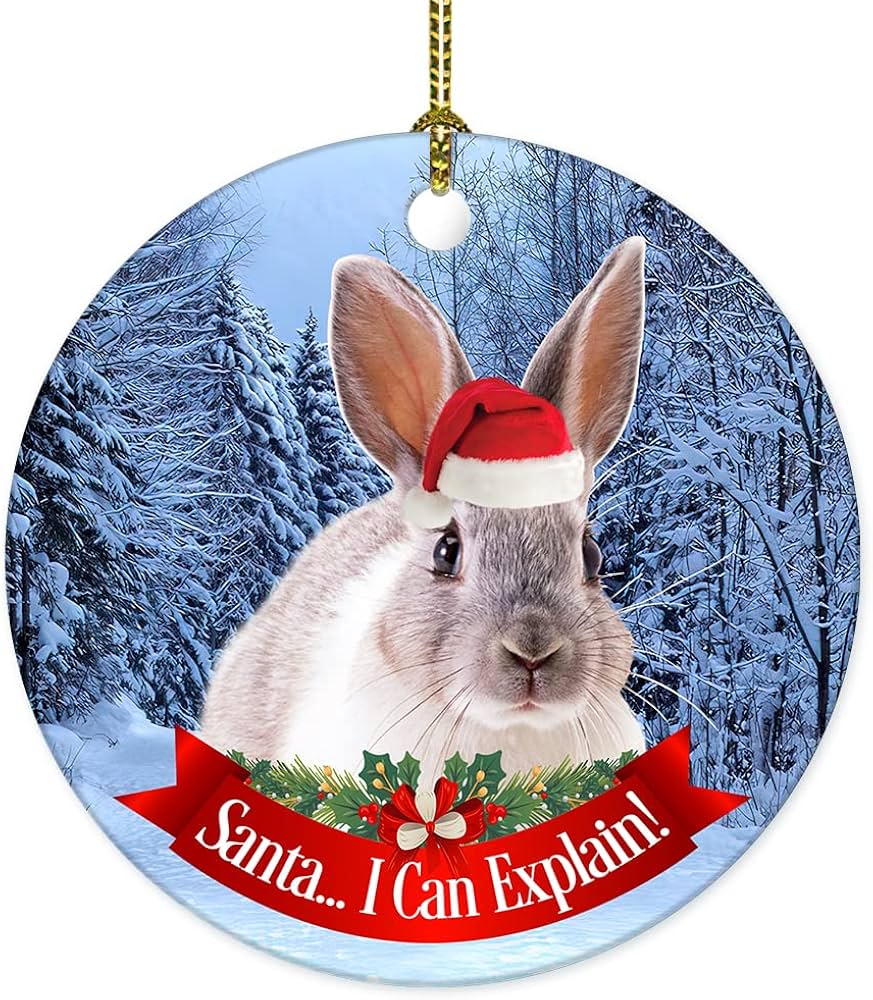 Amazon.co.jp: クリスマスツリー用ウサギオーナメント 2022年 吊り下げ