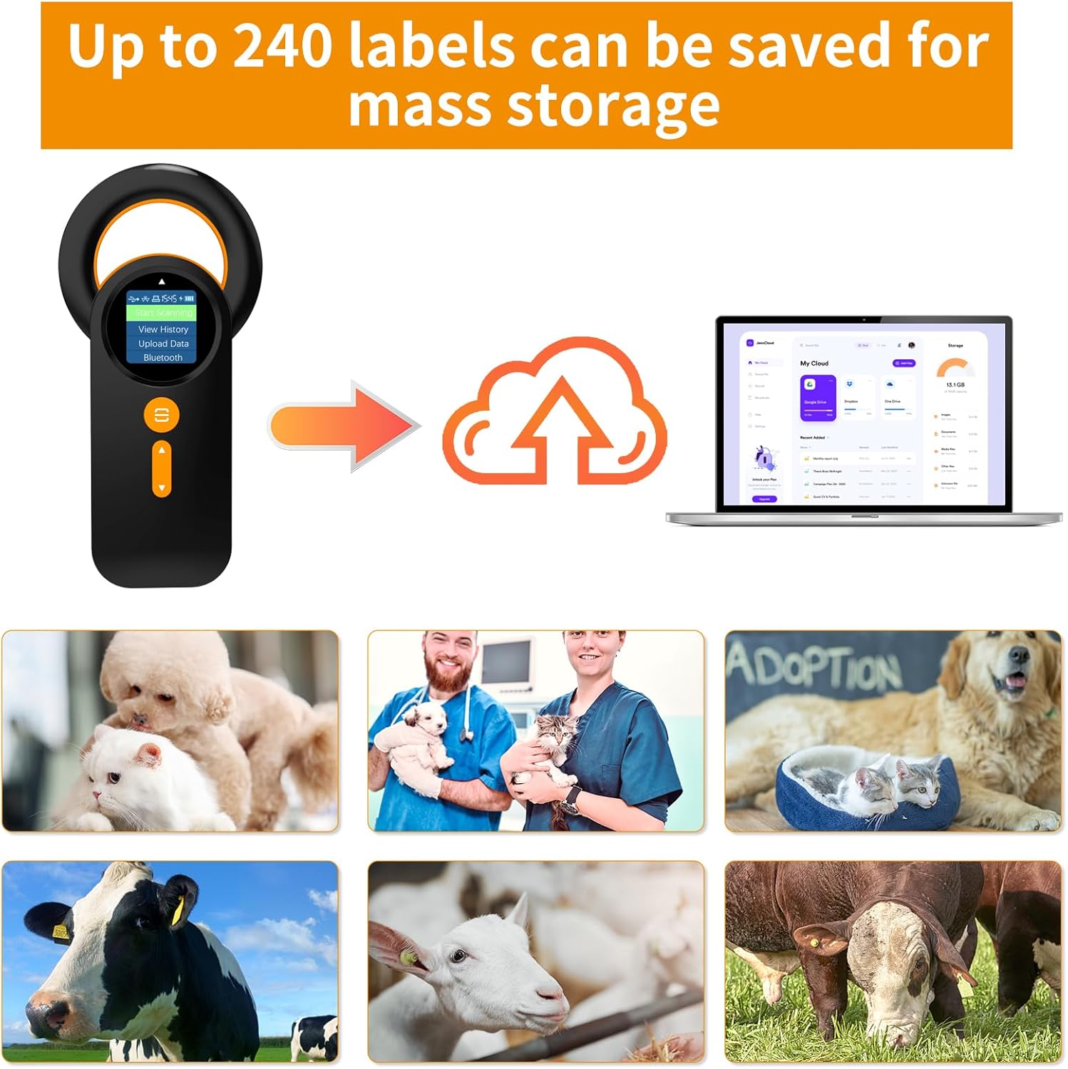 Data storage and upload process