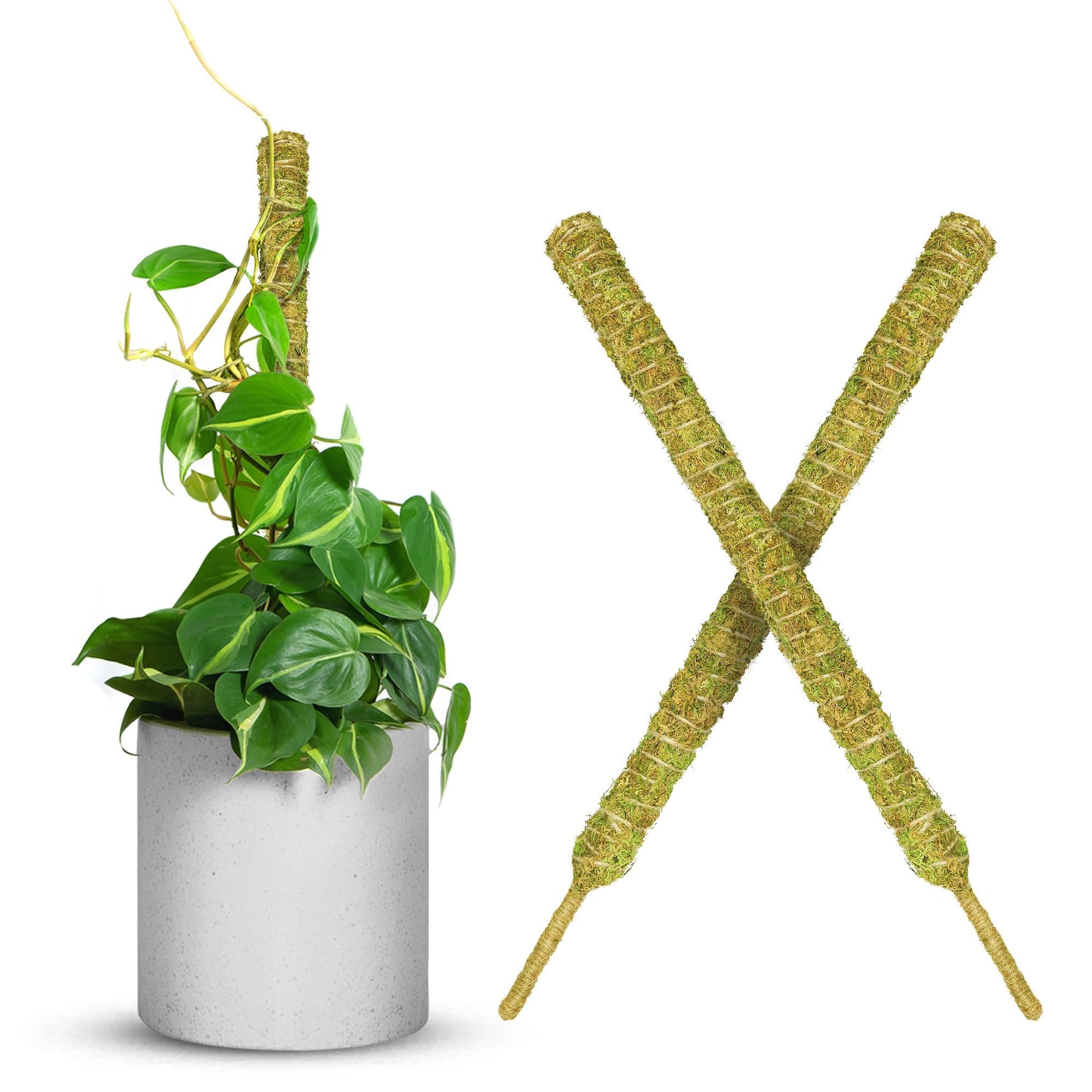 DUSPRO Forest Moss Pole, Small Moss Poles for Climbing Plants Monstera, Non-Bendable Shagnum Moss Stick for Monstera Plant Support Perfect for Small Mini Plant Growth 2 Pcs 17"