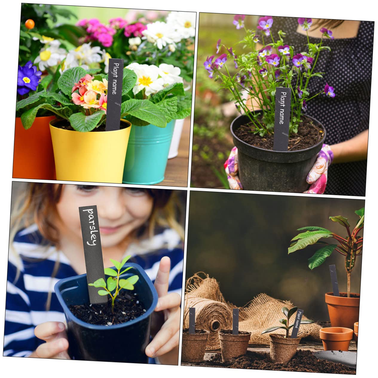 12 Etichette Per Piante Da Giardino Riutilizzabili Nomi Personalizzabili Su Ciotole Ardesia Per Vivai Esterni