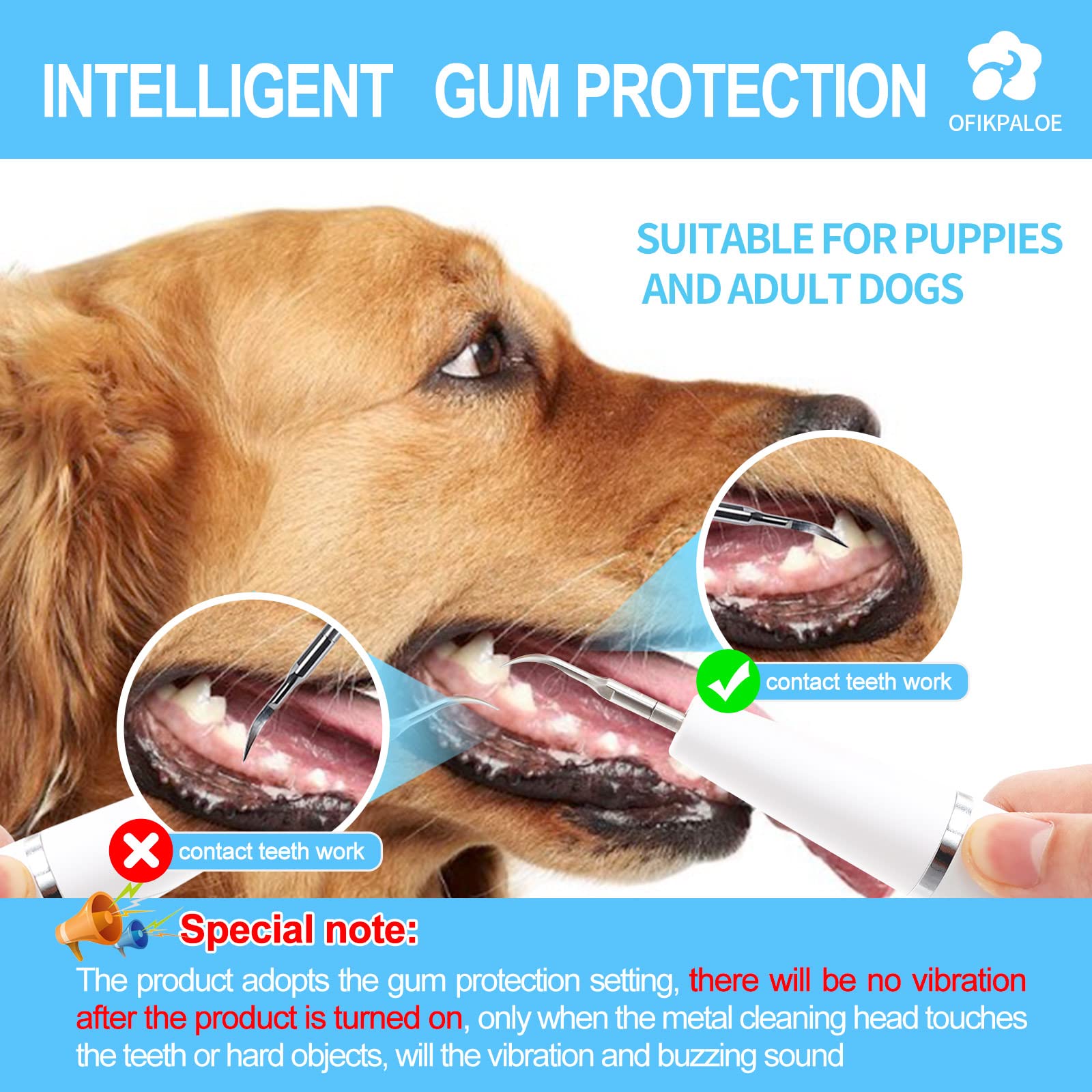 How Often Should You Have Your Dogs Teeth Cleaned