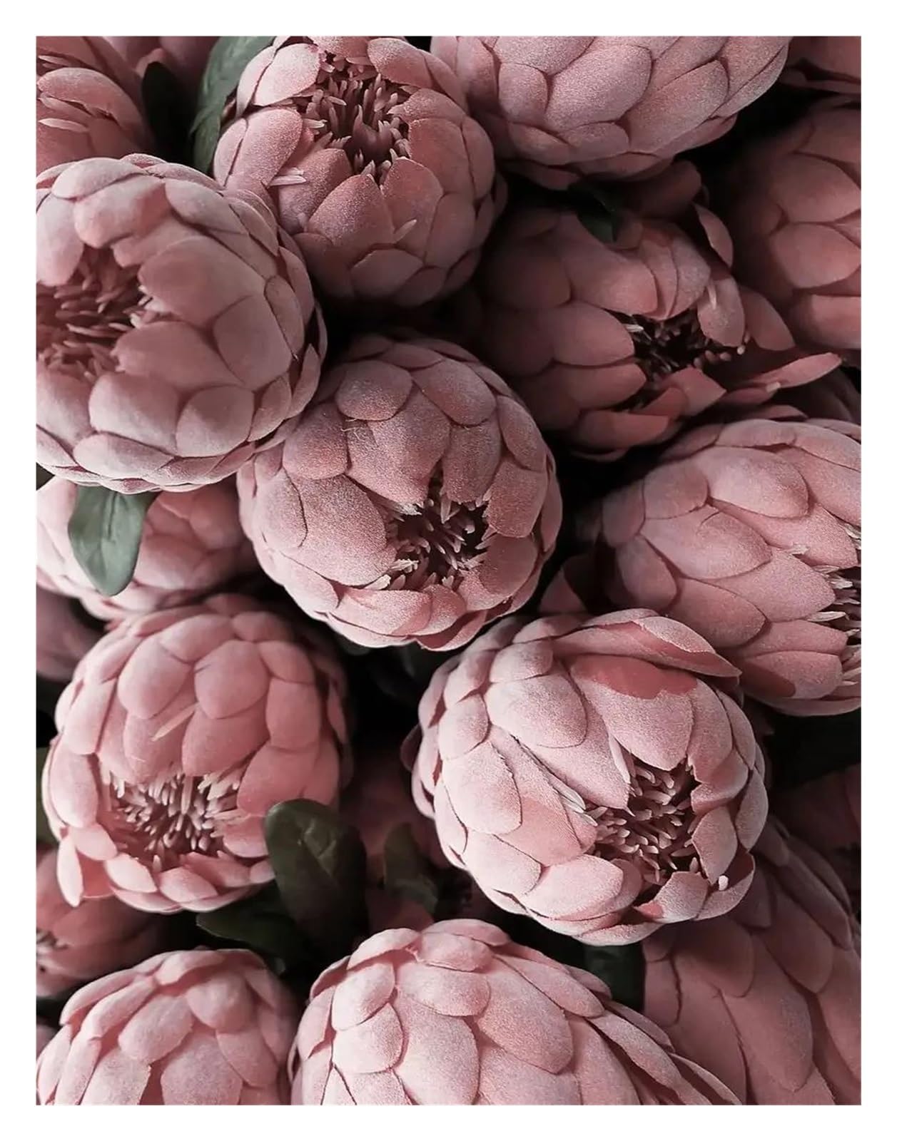 Poster floral minimaliste pour salon moderne, cadre photo de mode lotus et lys sur toile