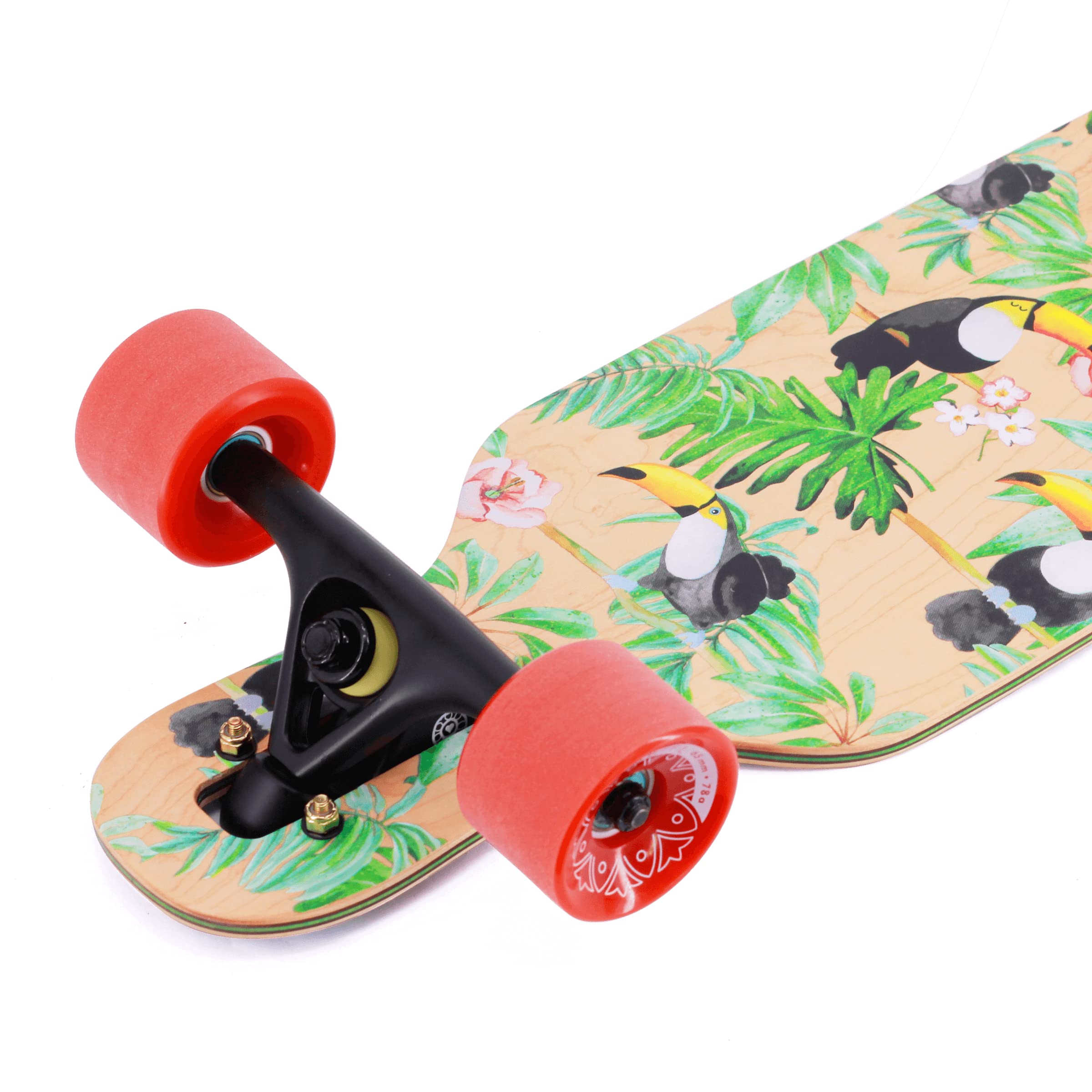 BTFL Longboard für Kinder ab 5 Jahren, Komplettboard mit ABEC 9 Kugellagern, Drop Through Cruiser, Skateboard für Anfänger & Fortgeschrittene, Freeride & Outdoor