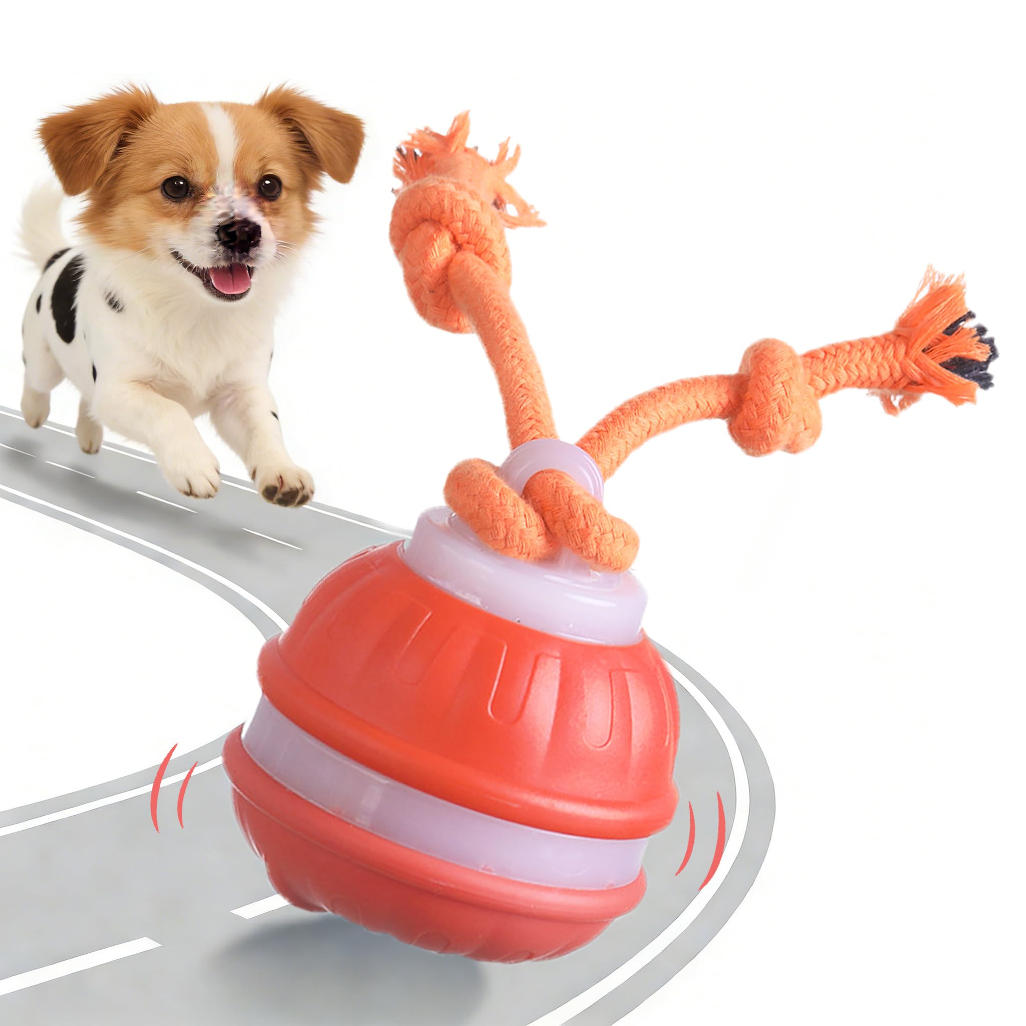 Photo 1 of JWKPA Interactive Dog Ball Toy (Orange)