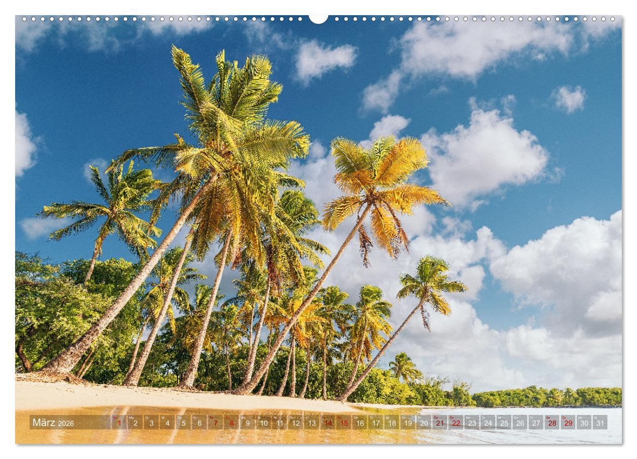 Karibik - Traumstrände (Wandkalender 2026 DIN A2 quer), CALVENDO Monatskalender: Sonne, Meer und karibische Traumstrände (CALVENDO Natur)