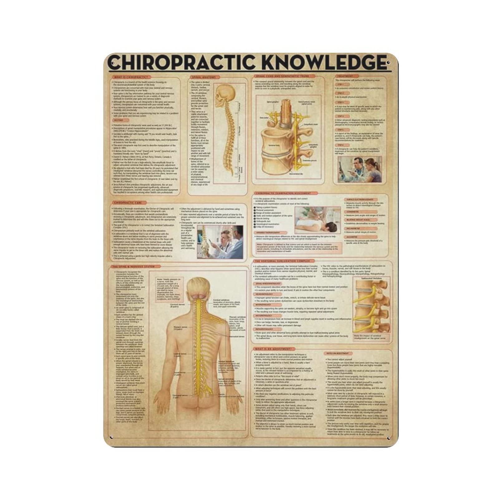 AOOEDM Chiropractic Knowledge Metal Sign for Home Coffee Garage Wall Decor Vintage Poster Bar Signs for Home Bar Retro Metal Tin Sign